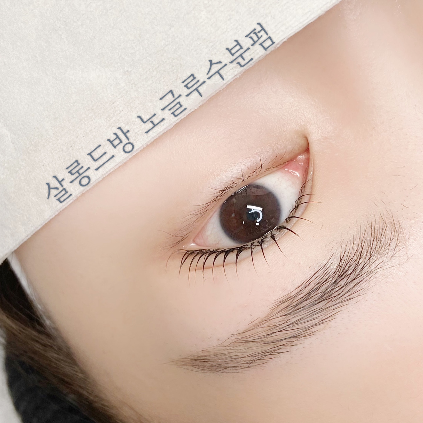 살롱드방