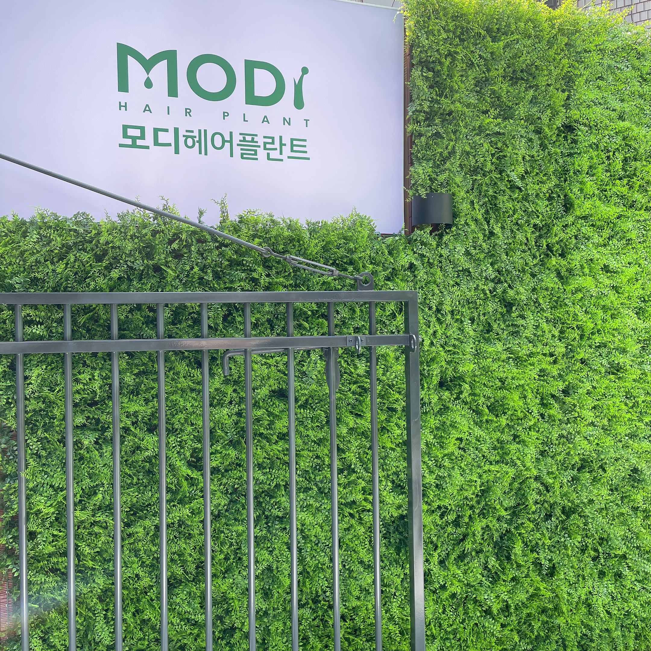 모디헤어플란트의원 대표 이미지