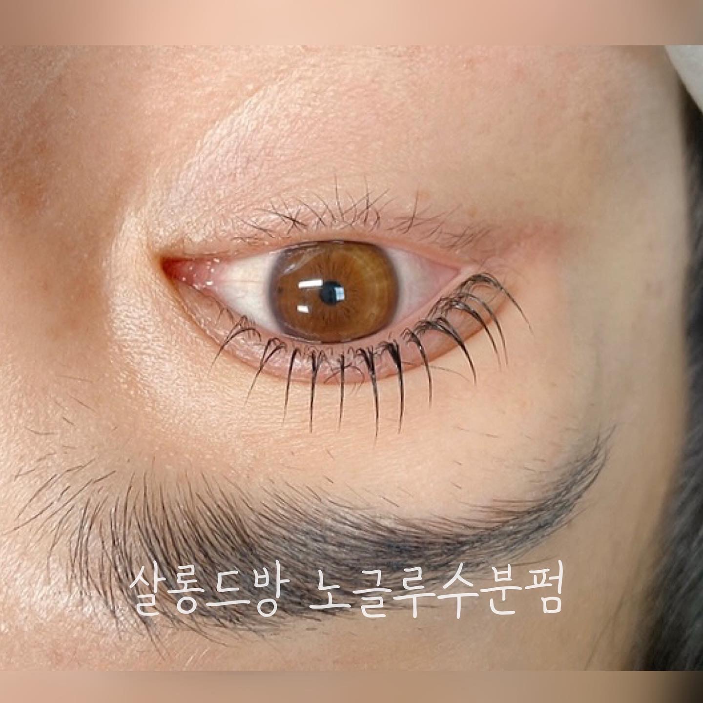 살롱드방