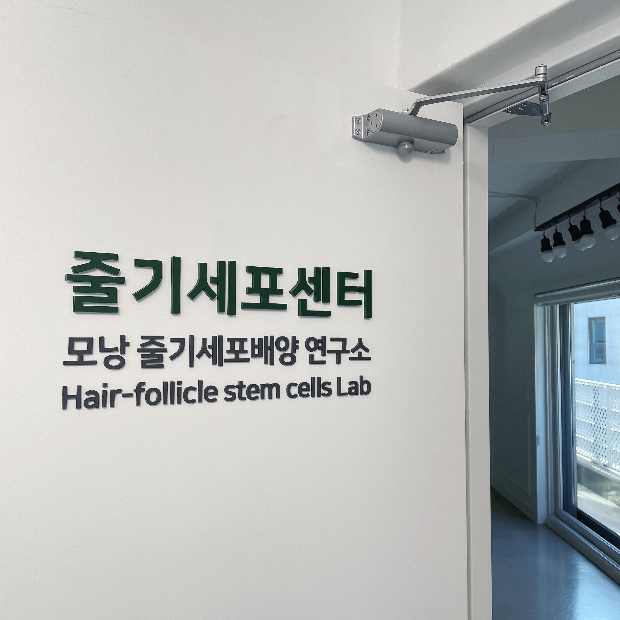 모디헤어플란트의원 대표 이미지