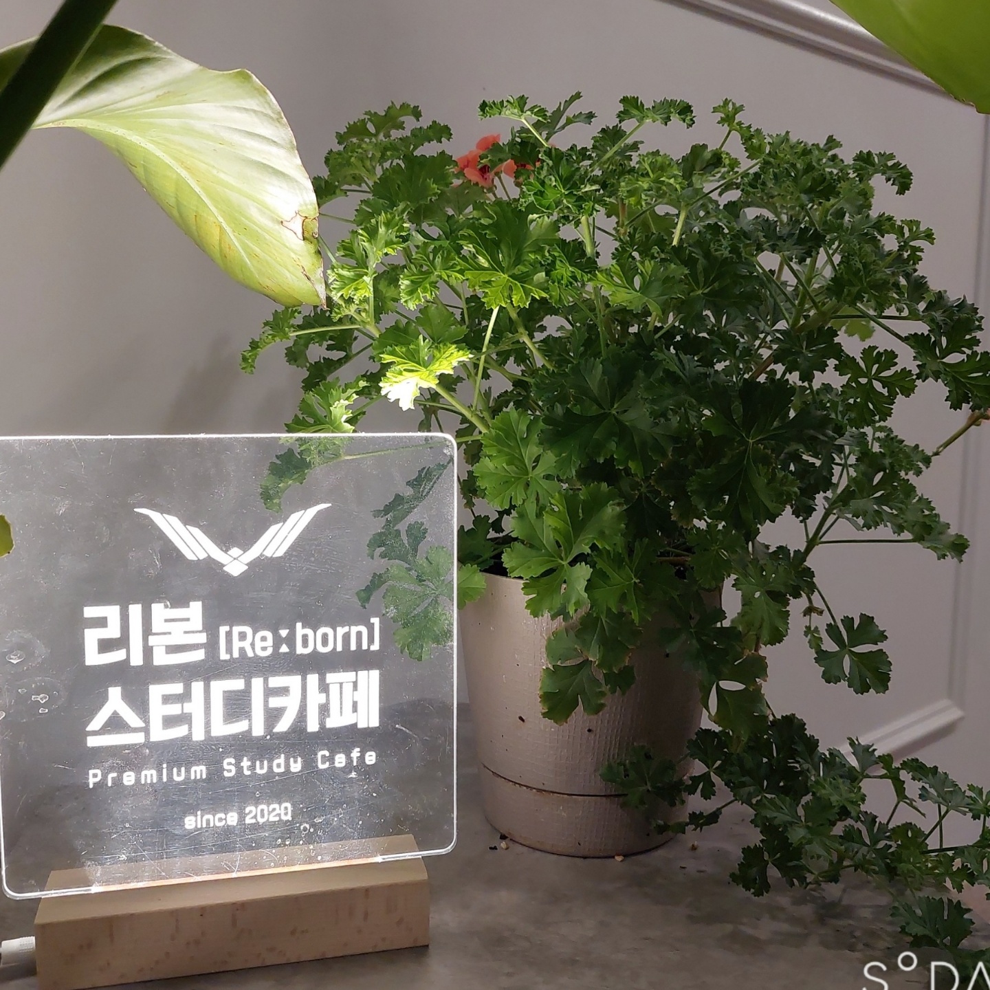 리본스터디카페 남악점