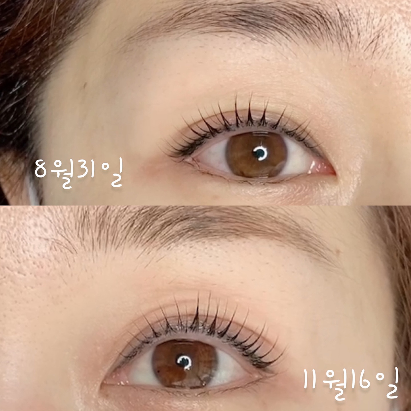 살롱드방