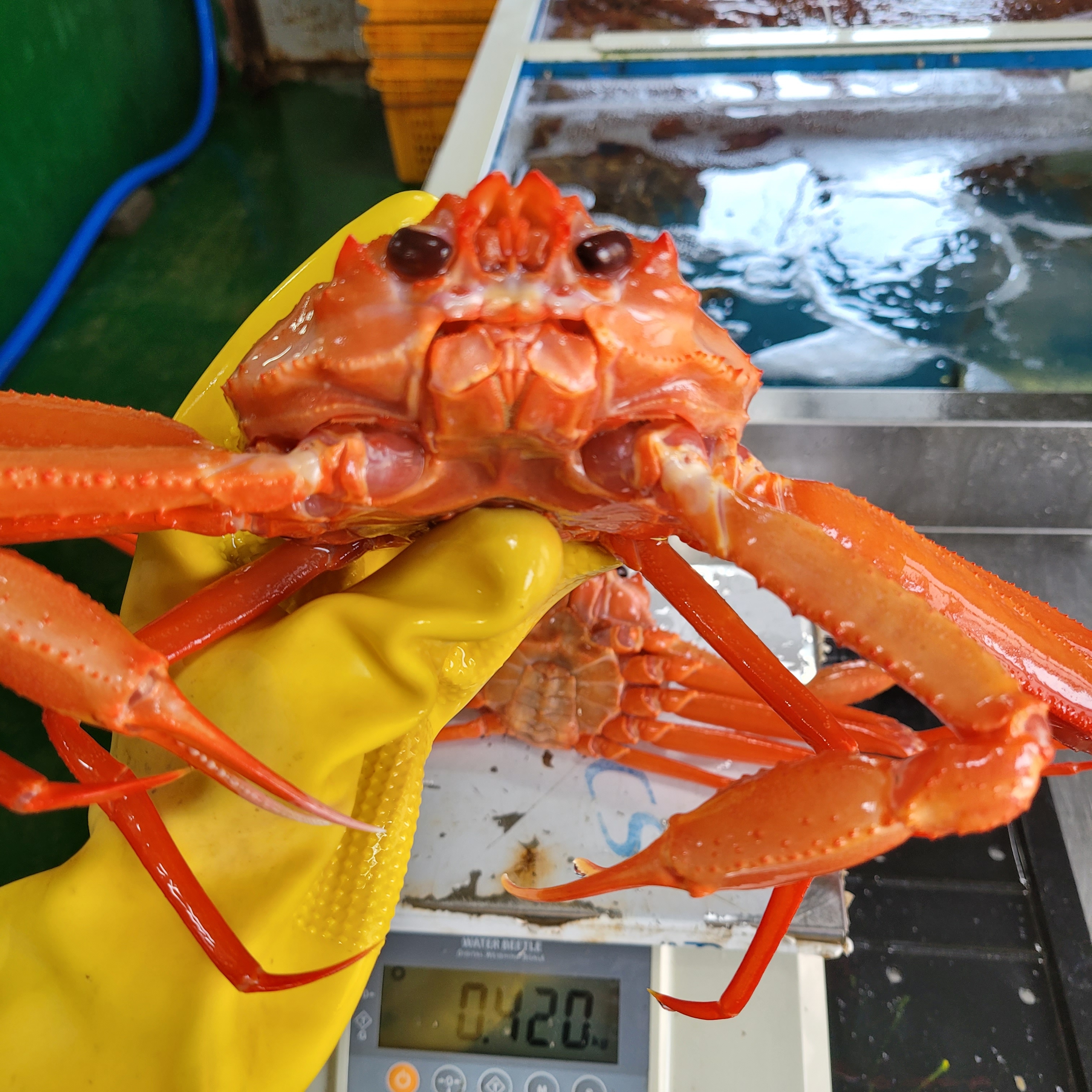 큰바다 수산