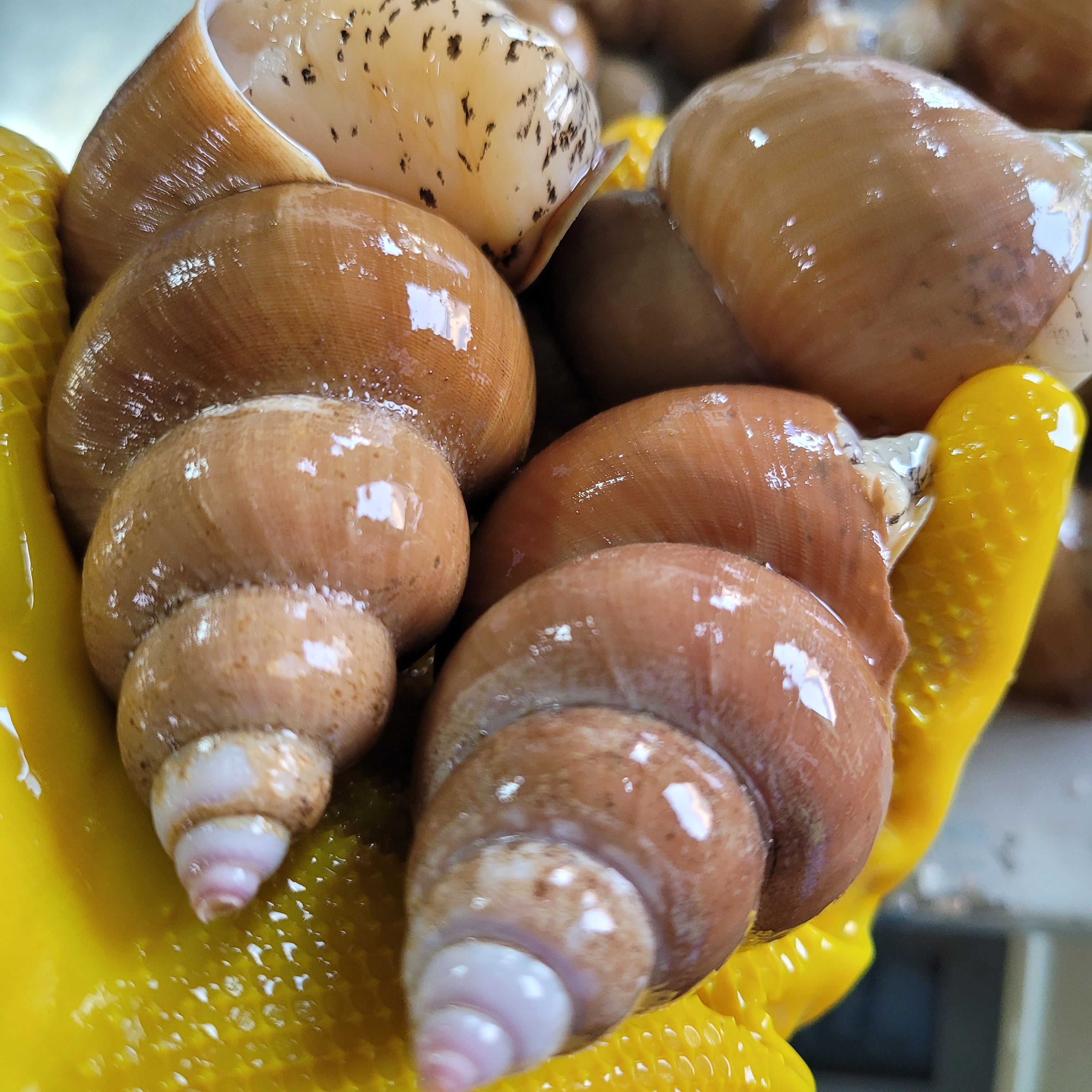 큰바다 수산