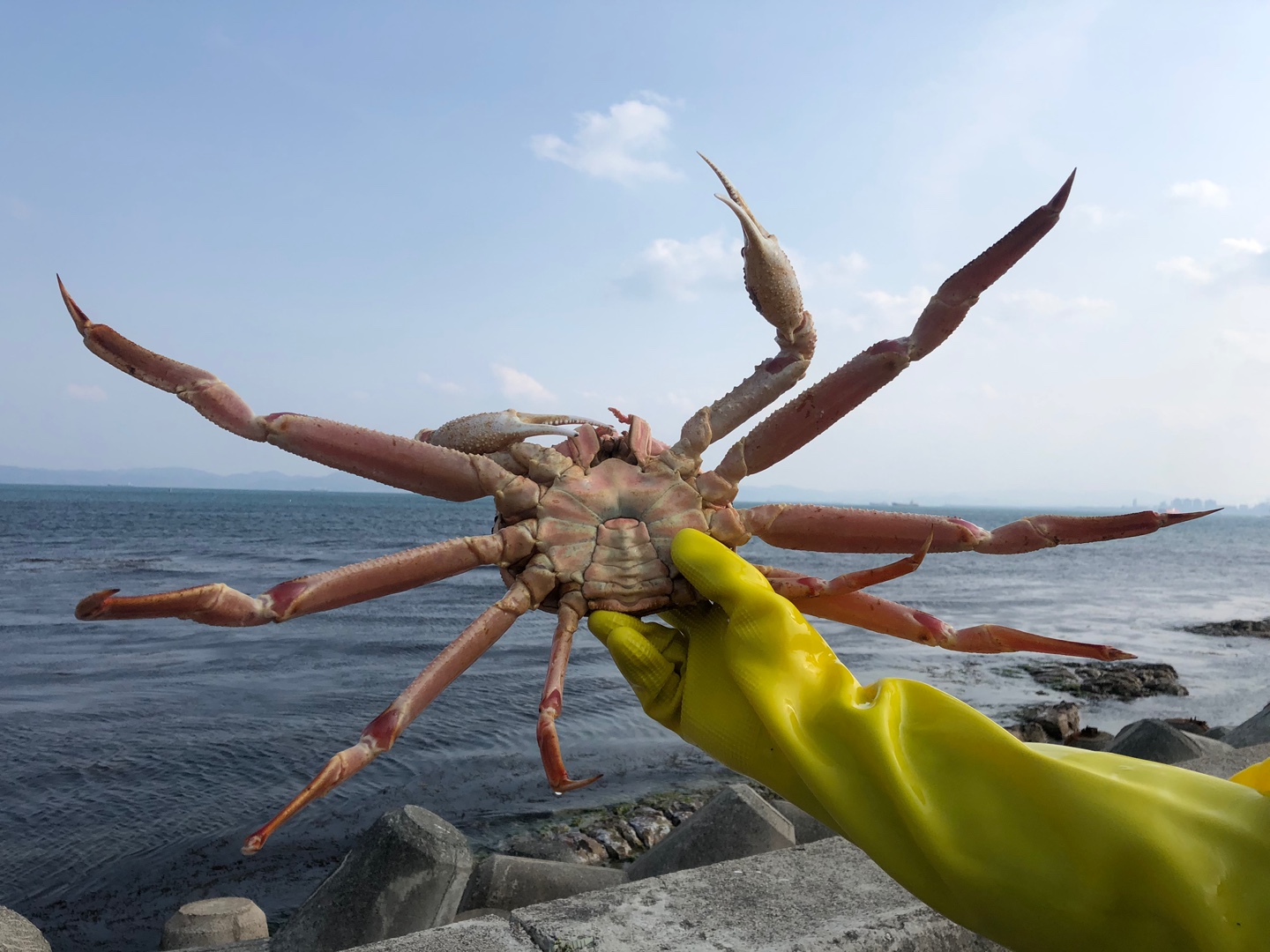큰바다 수산