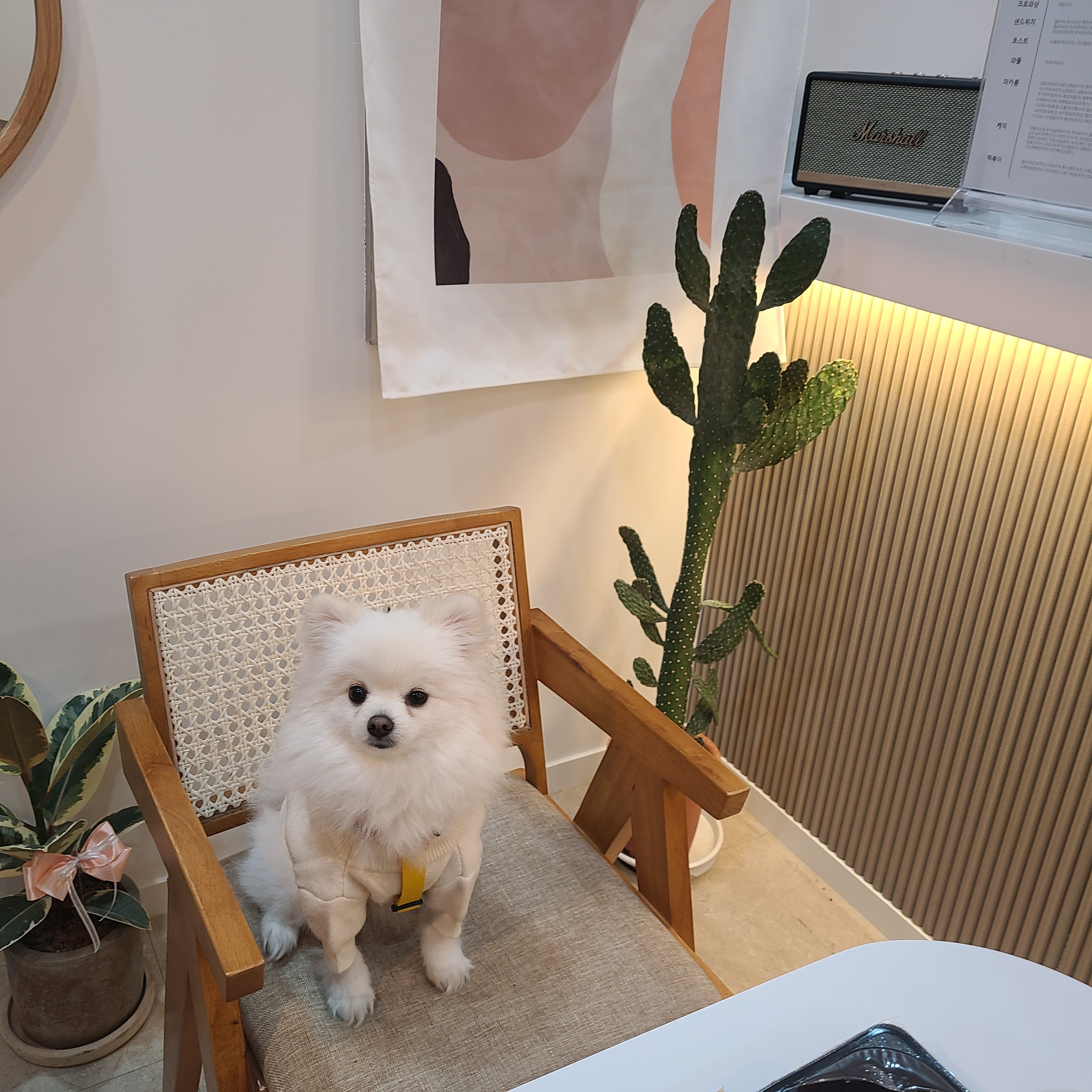 카페보스 수원광교점