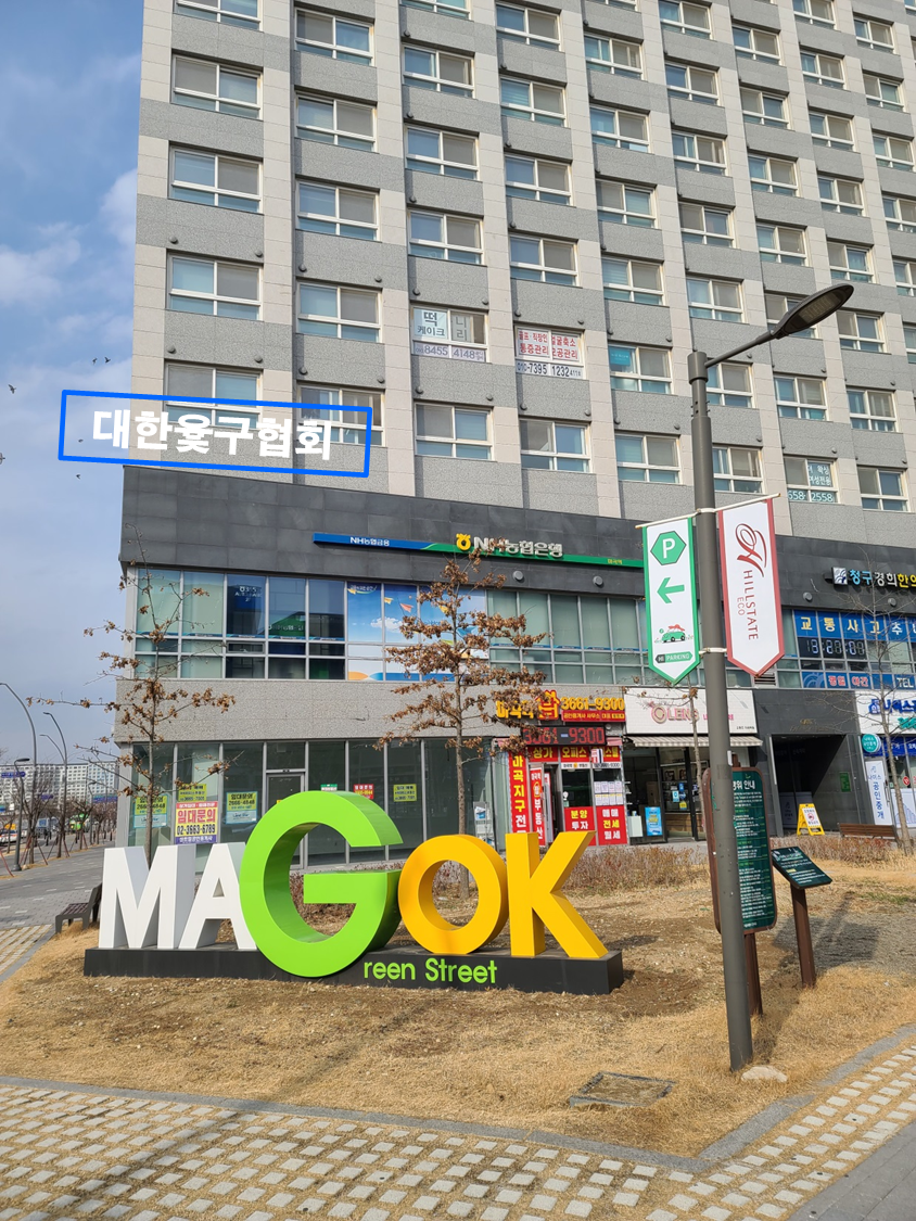 대한윷구협회
