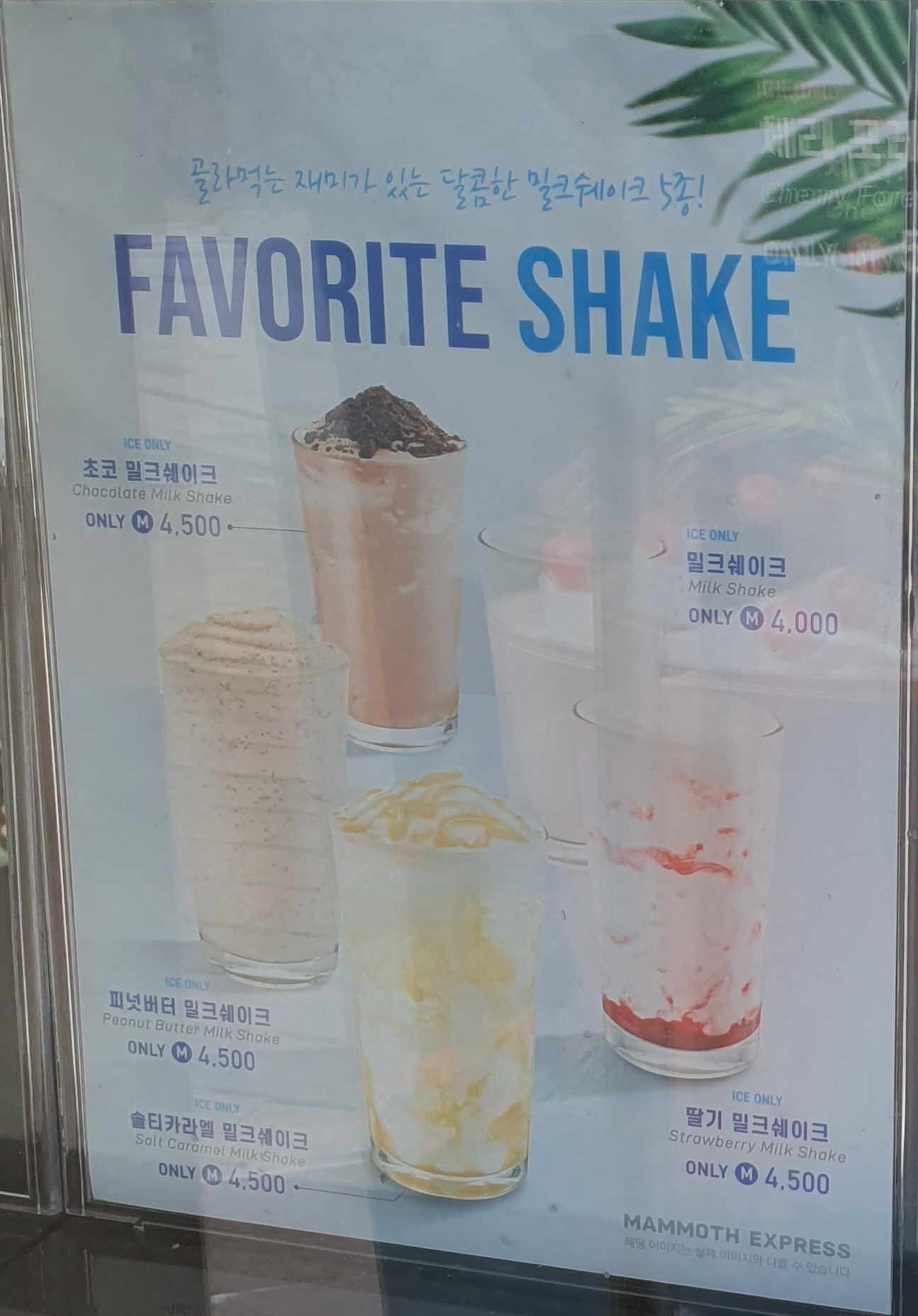 매머드커피익스프레스 미사호반써밋점