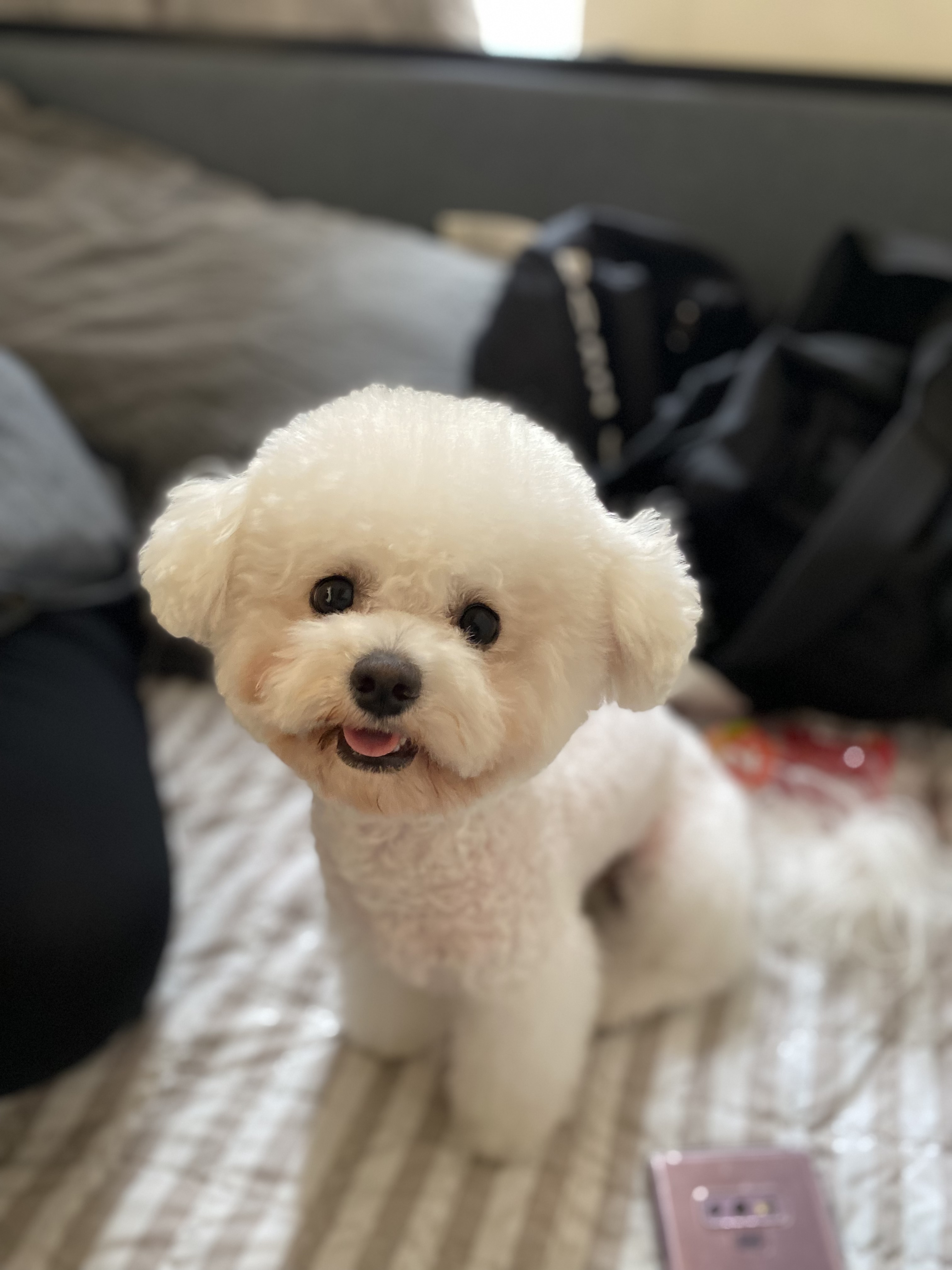 버튼플레이