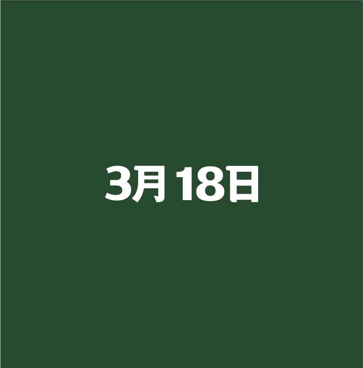3월18일