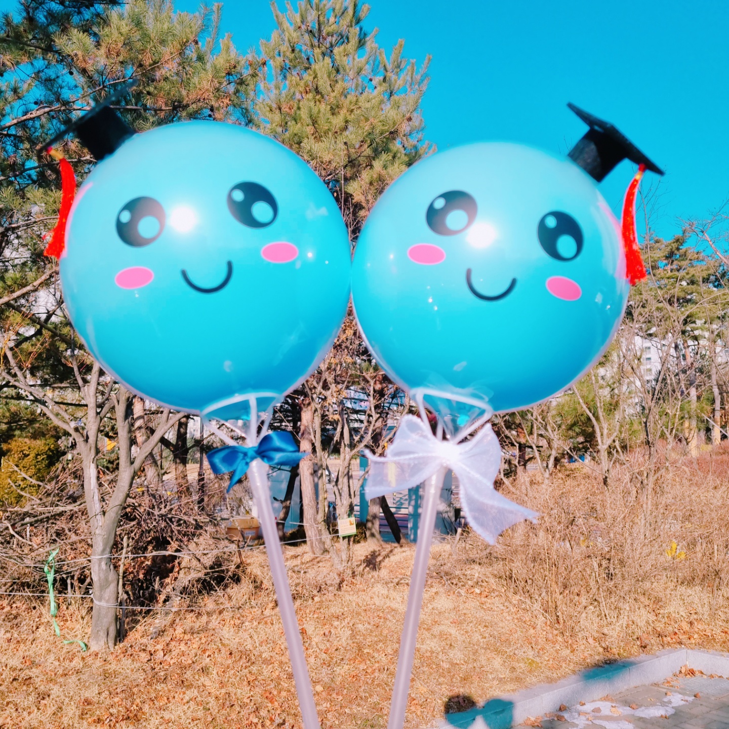 하하네파티룸&벌룬샵