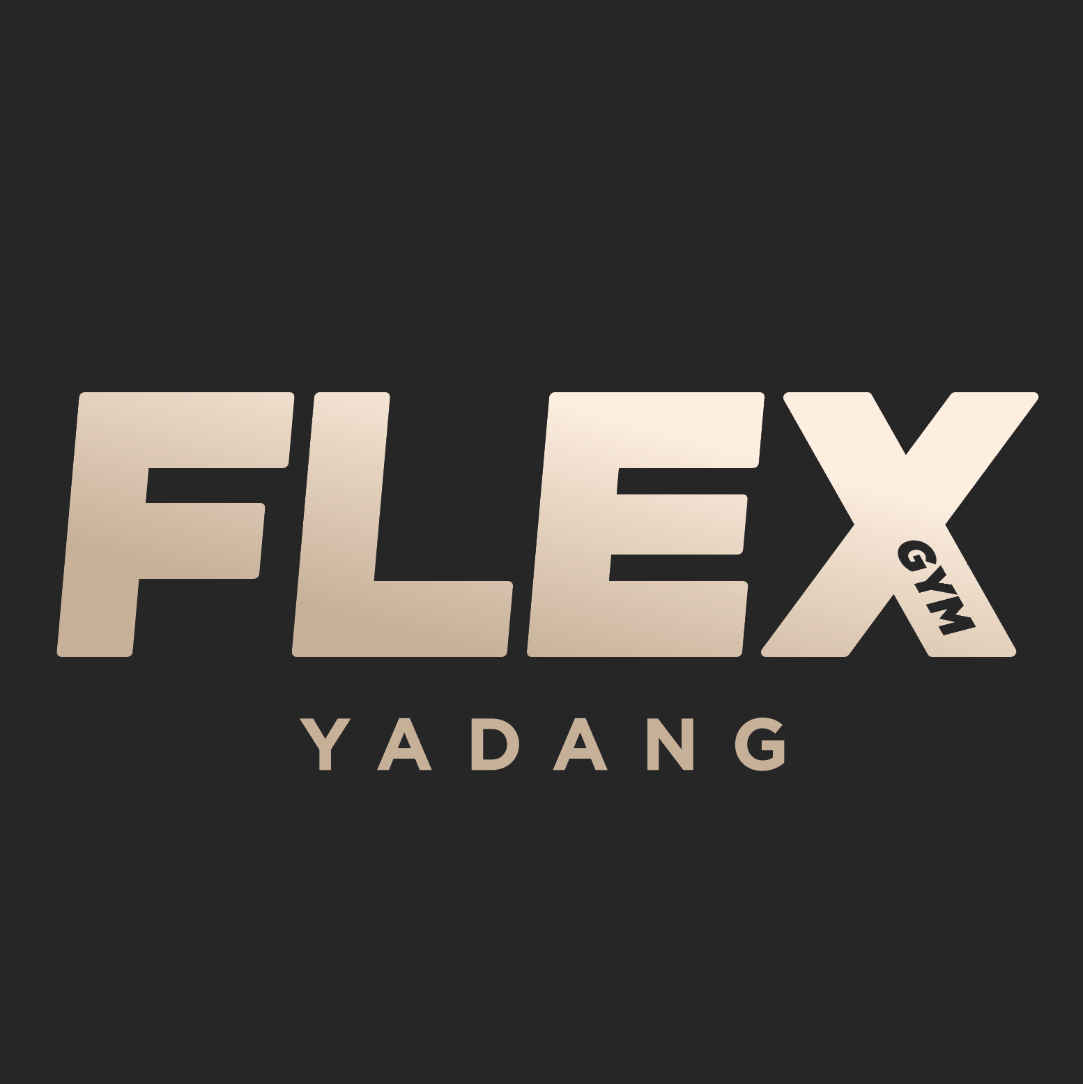 플렉스짐 야당 내부 또는 관련 모습