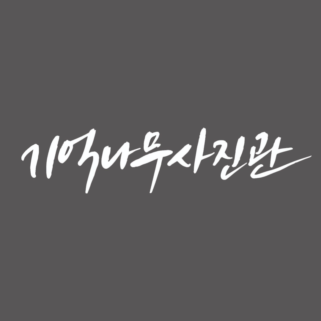 창원사진관 기억나무