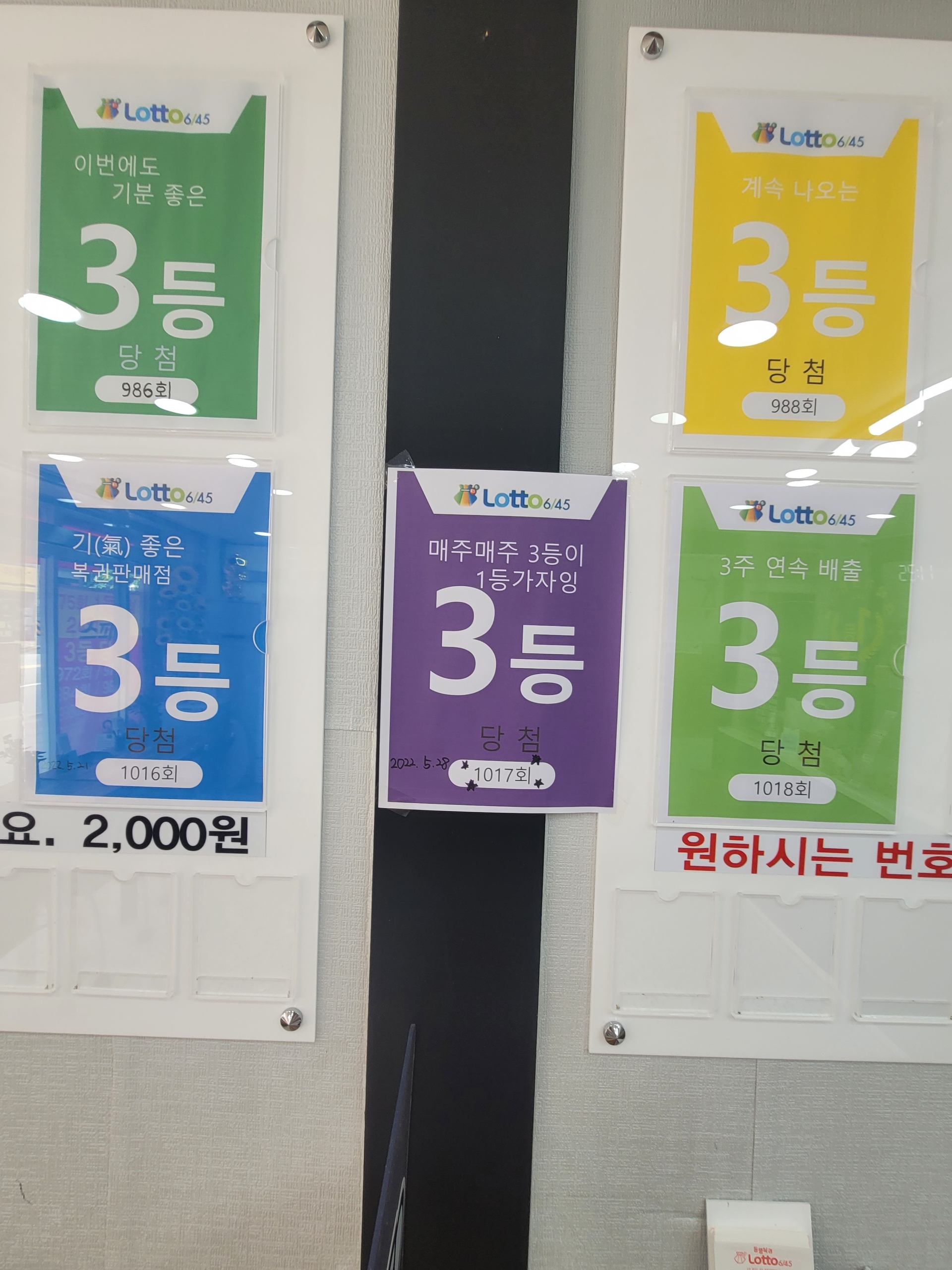황금돼지복권방