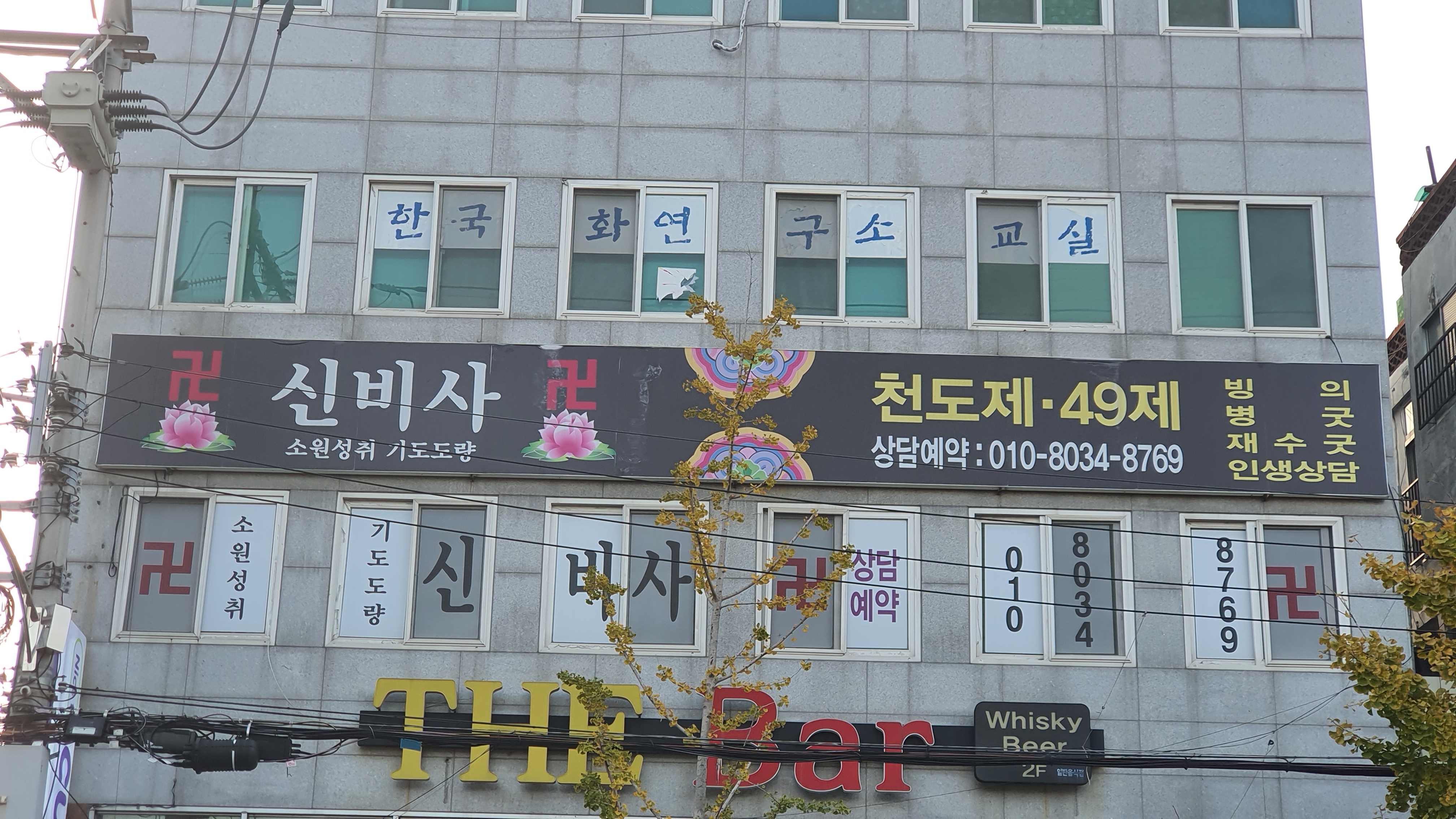 신비사