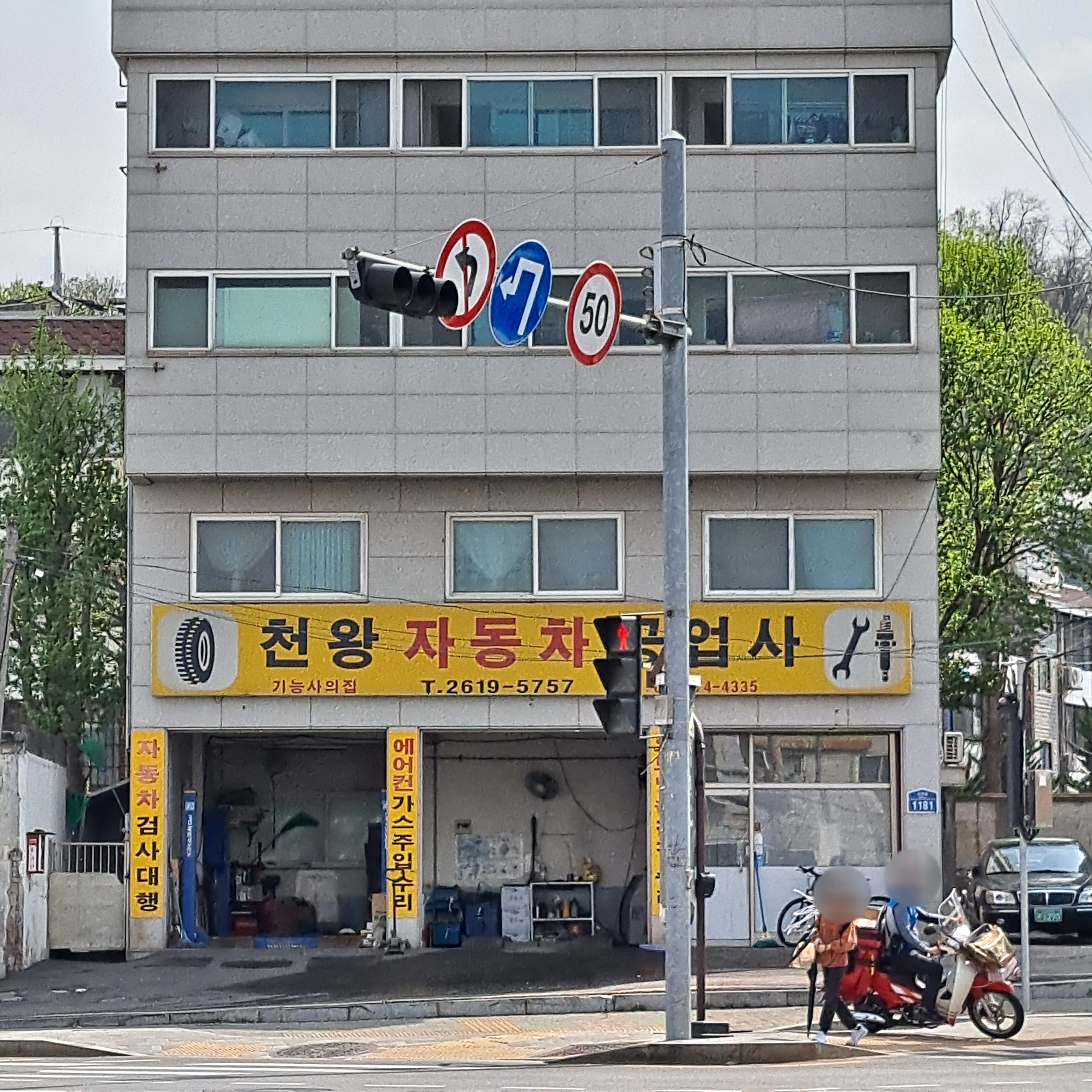 댕댕스