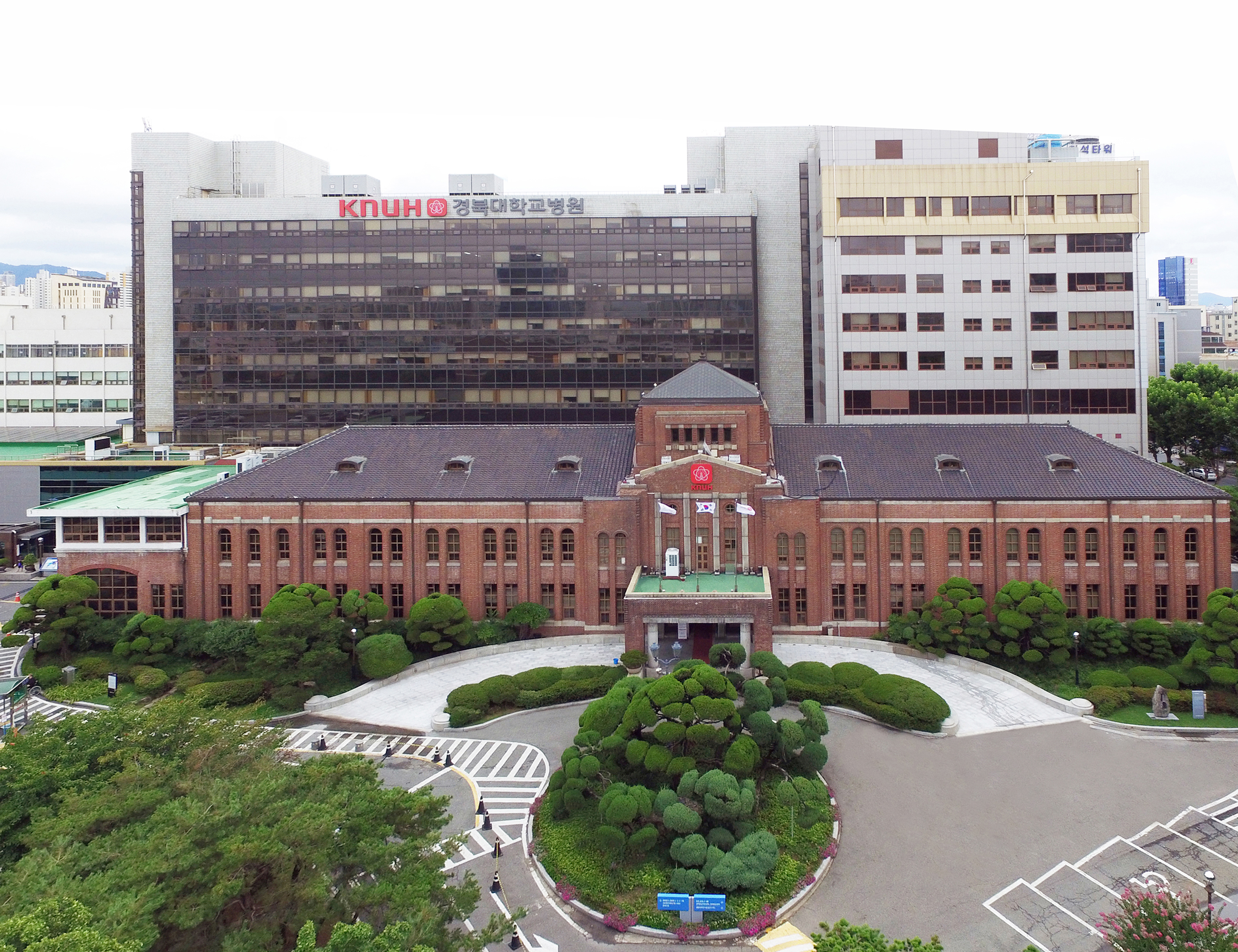경북대학교병원 대표 이미지