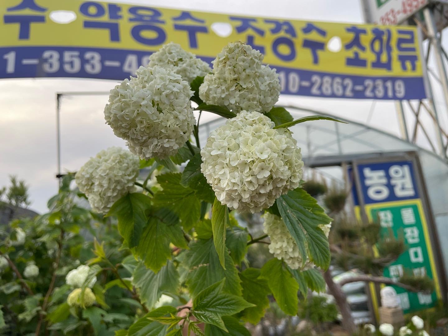 수성조경농원