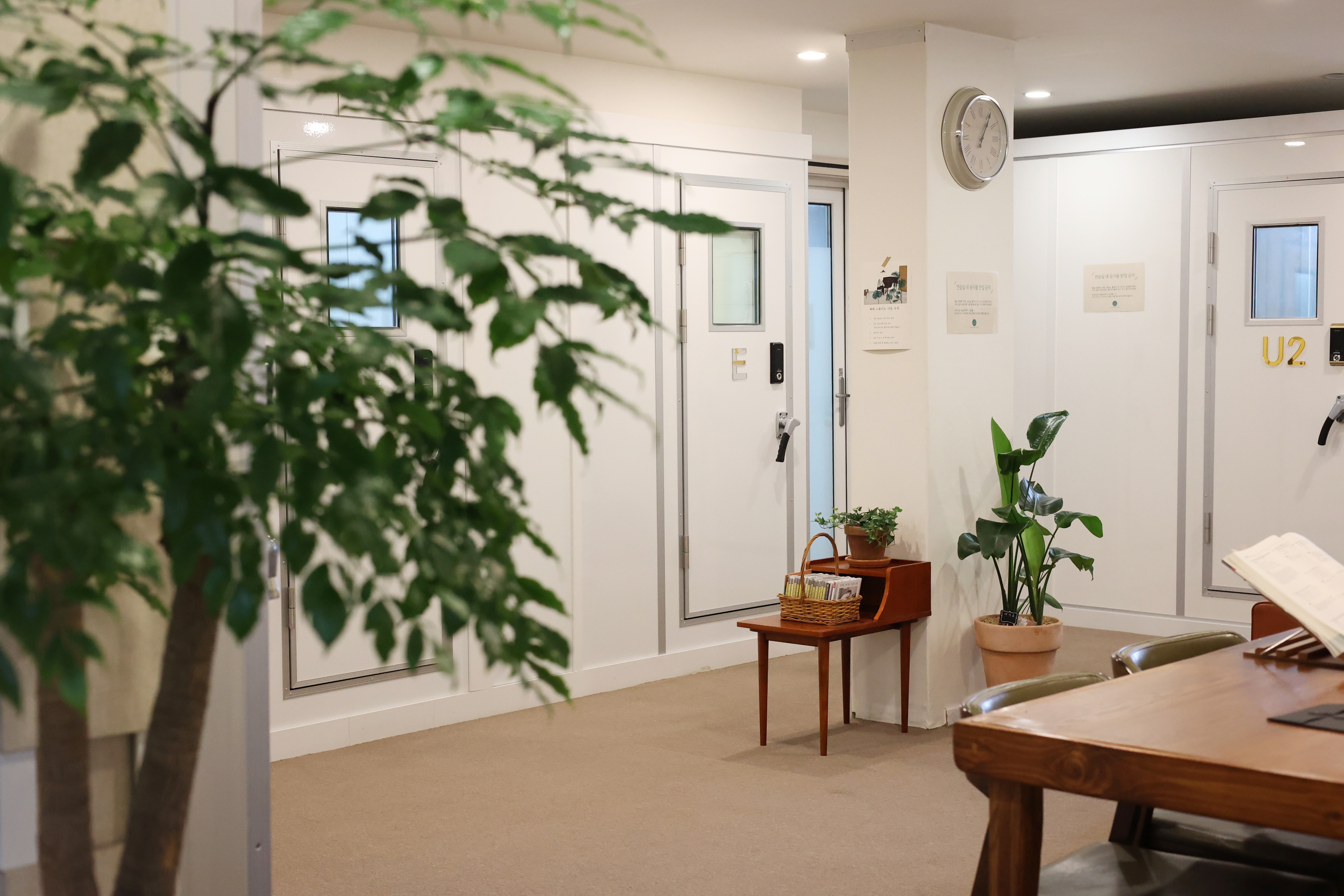 2번째 스튜디오 사진