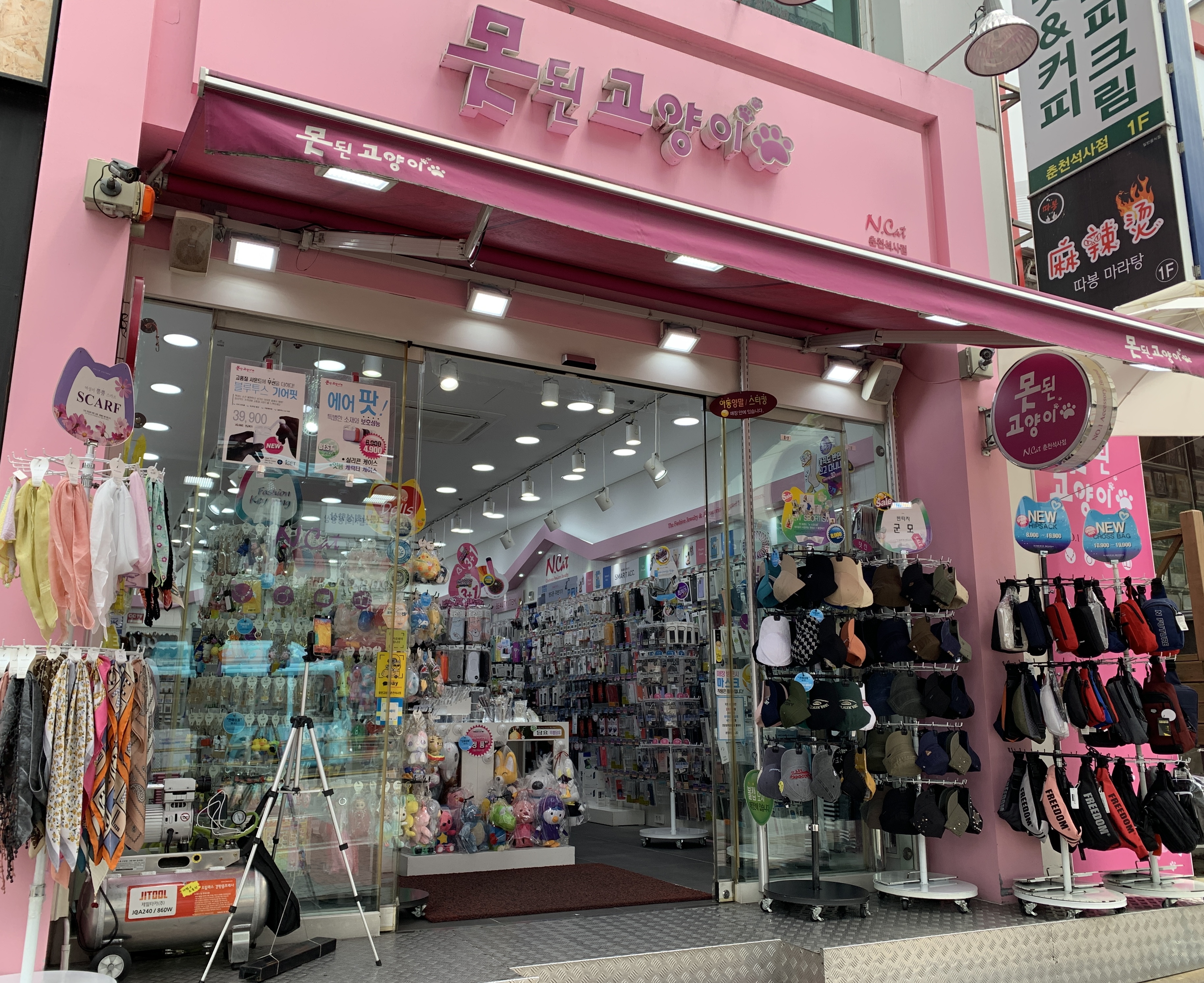 못된고양이 춘천석사점