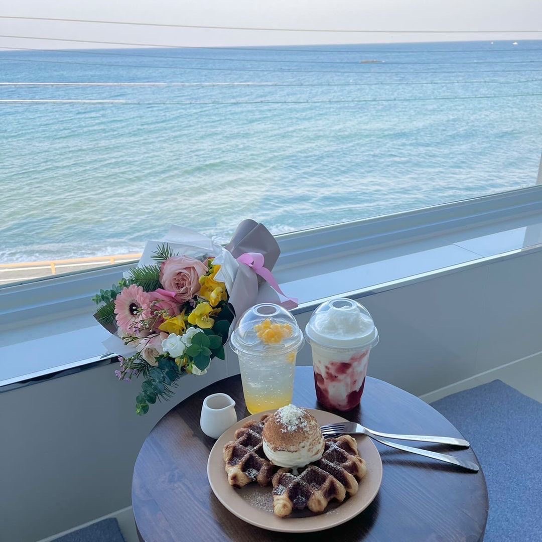 어나더 강원 애견맛집