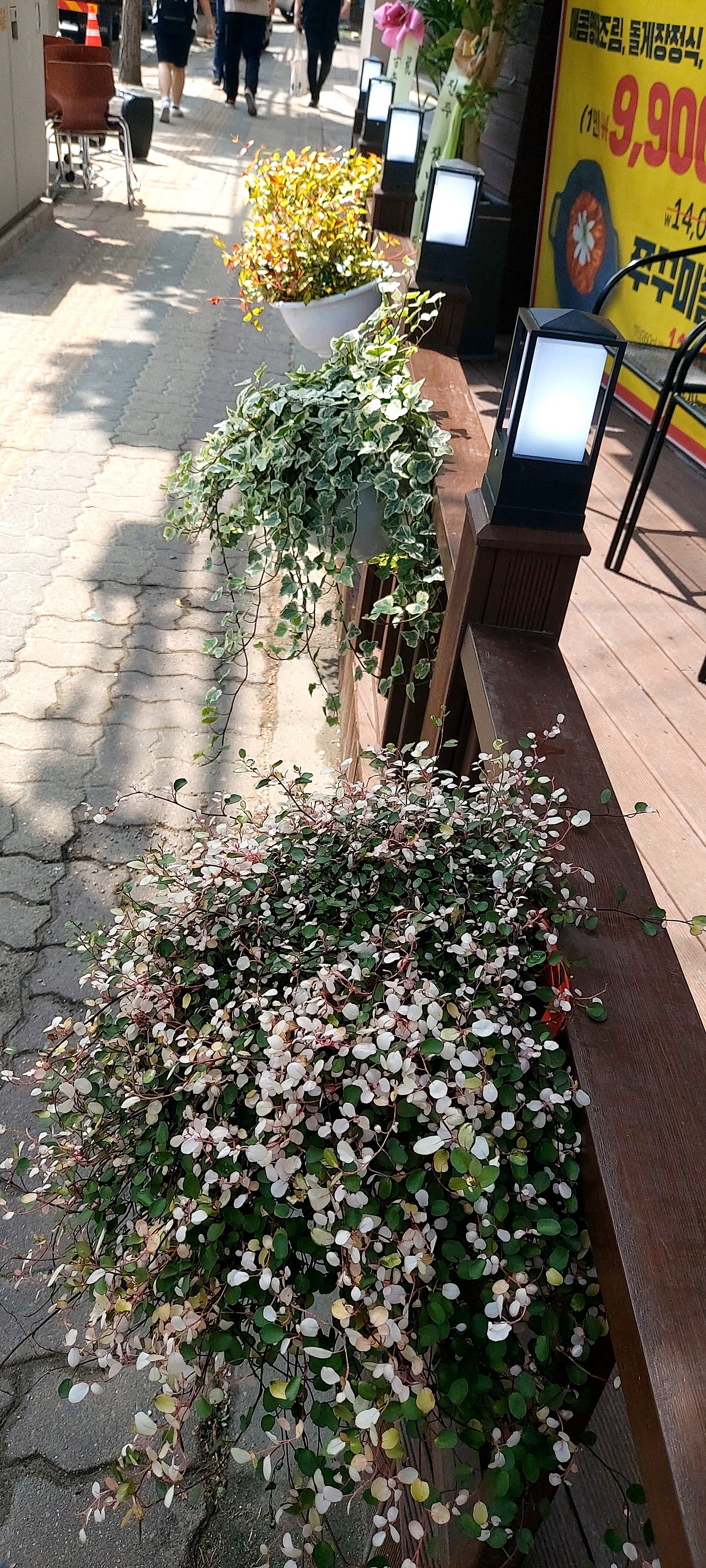 명태어장 쭈삼골 독산정훈점