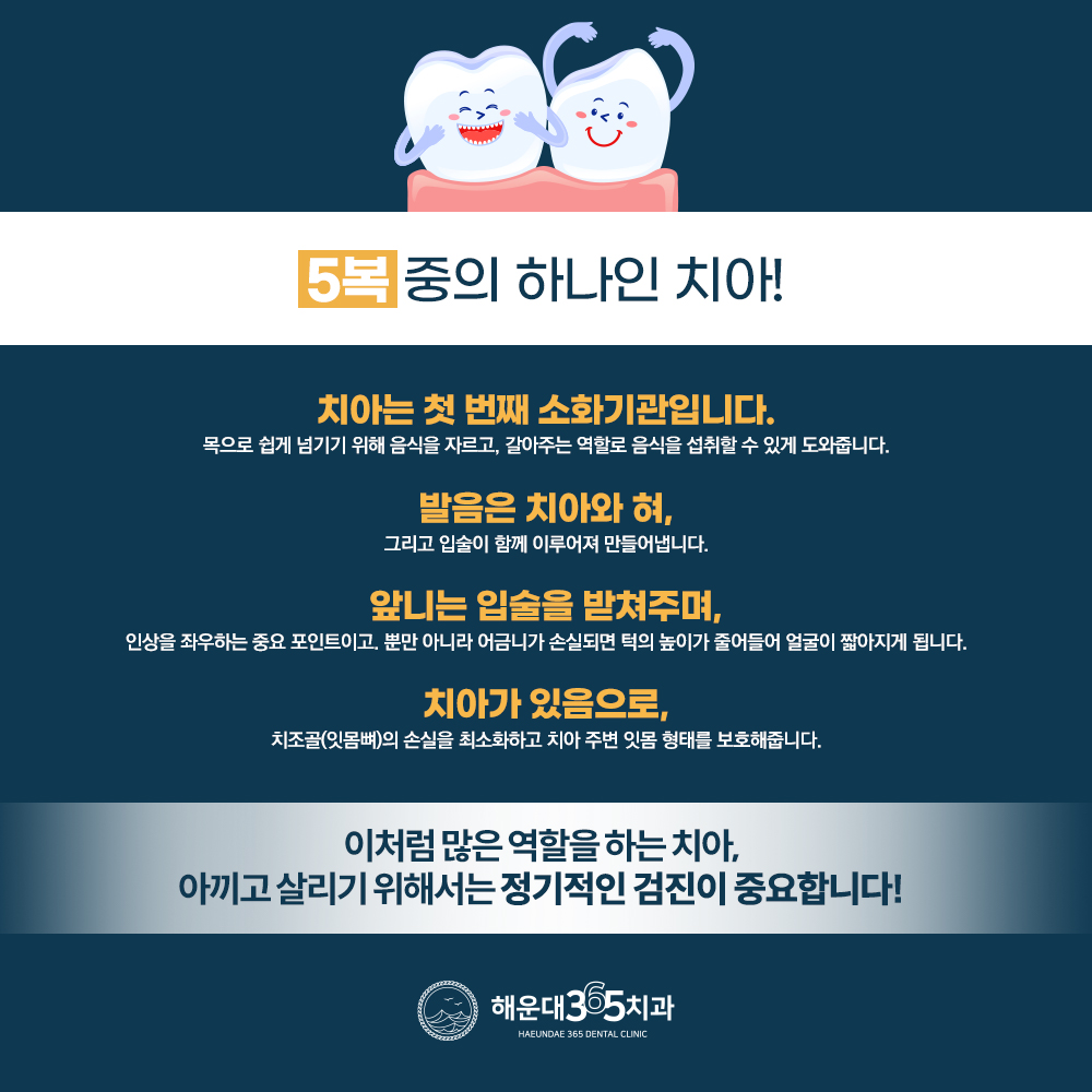 해운대휴일치과를 찾으신다면 해운대365치과! 4