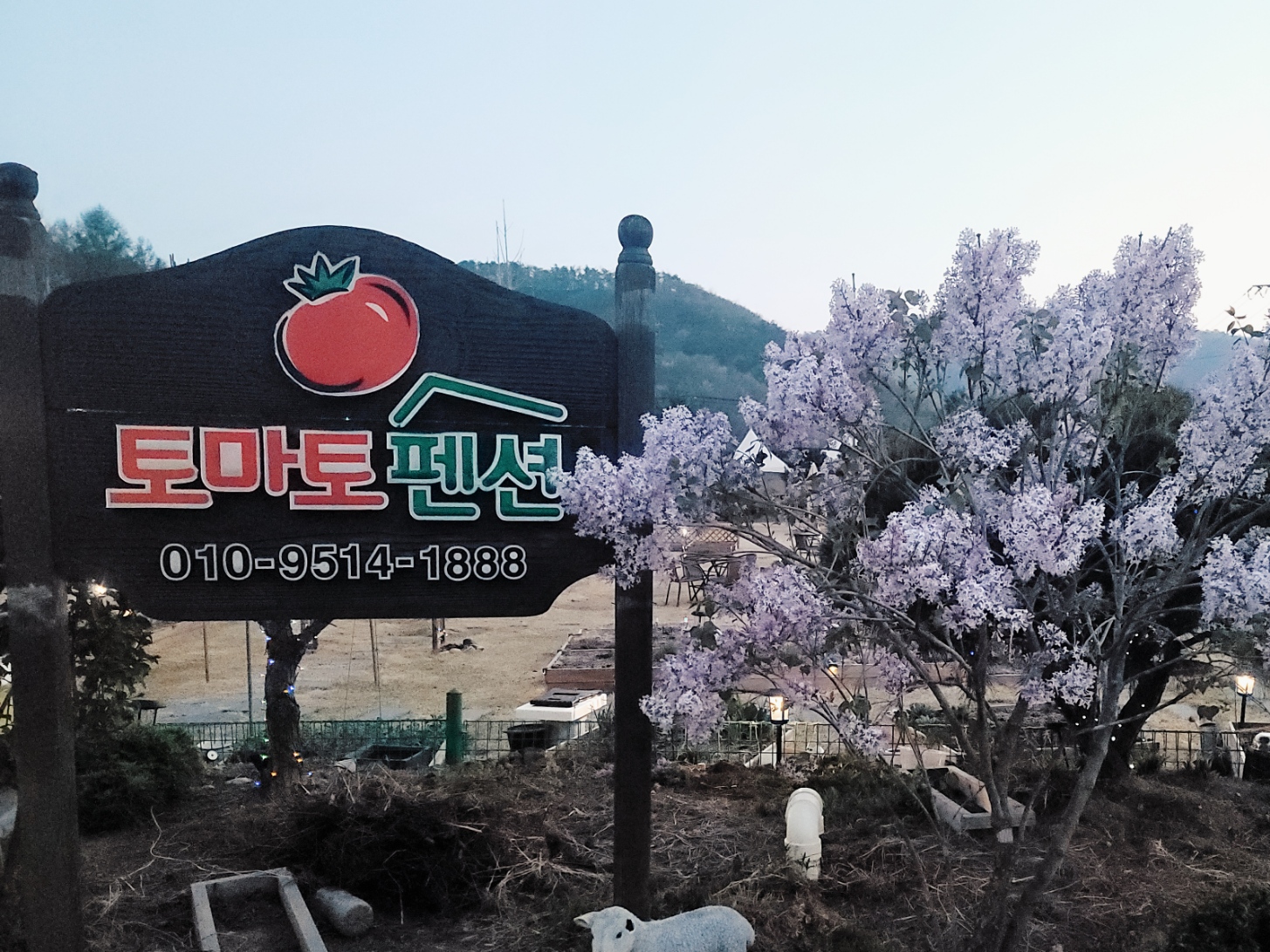 토마토펜션