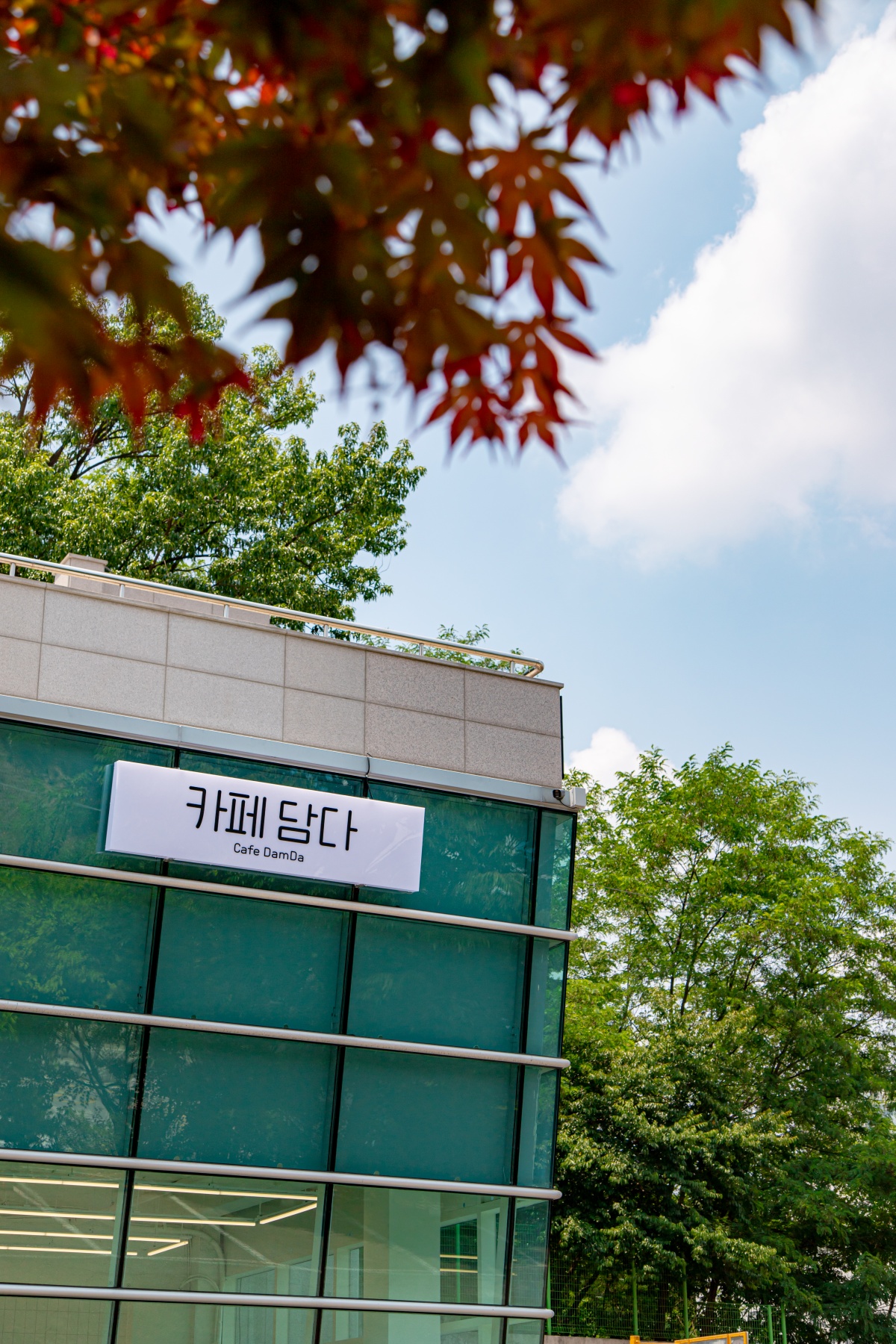 카페 담다
