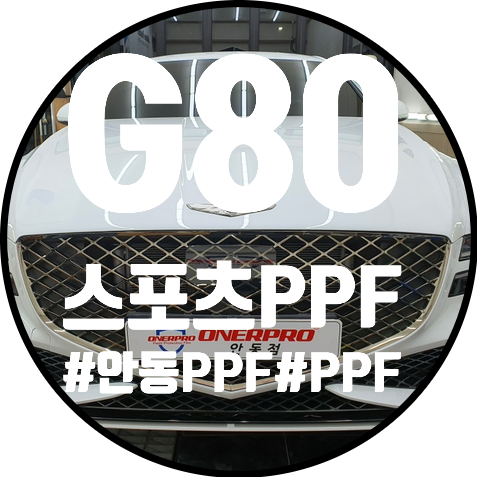 쉴드런 안동점