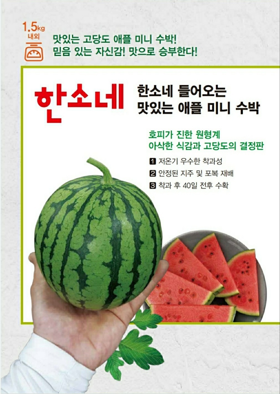 토리딸기팜