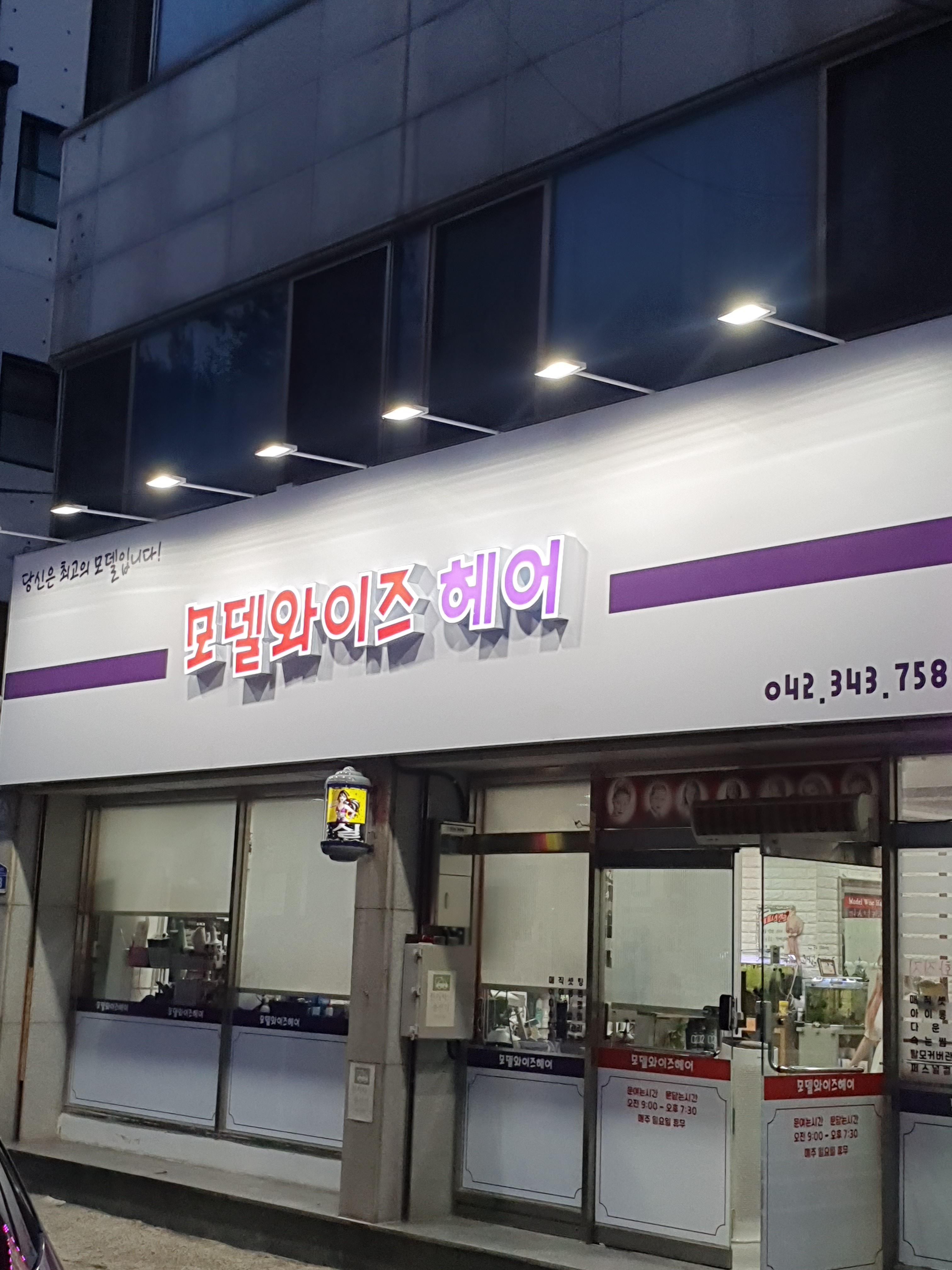 모델와이즈헤어