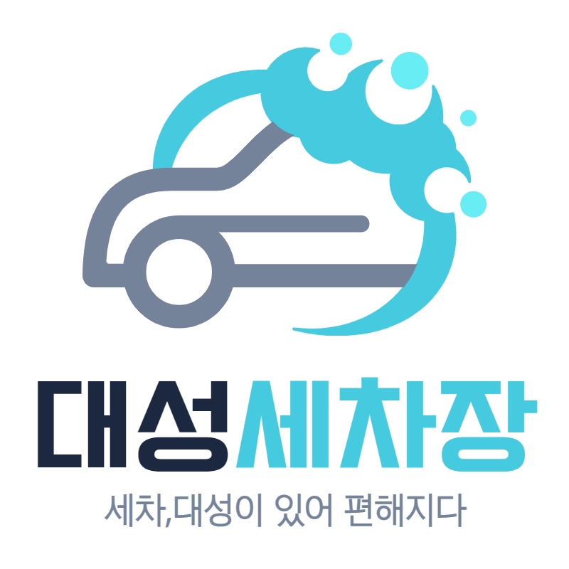 대성손세차 디테일링전문점