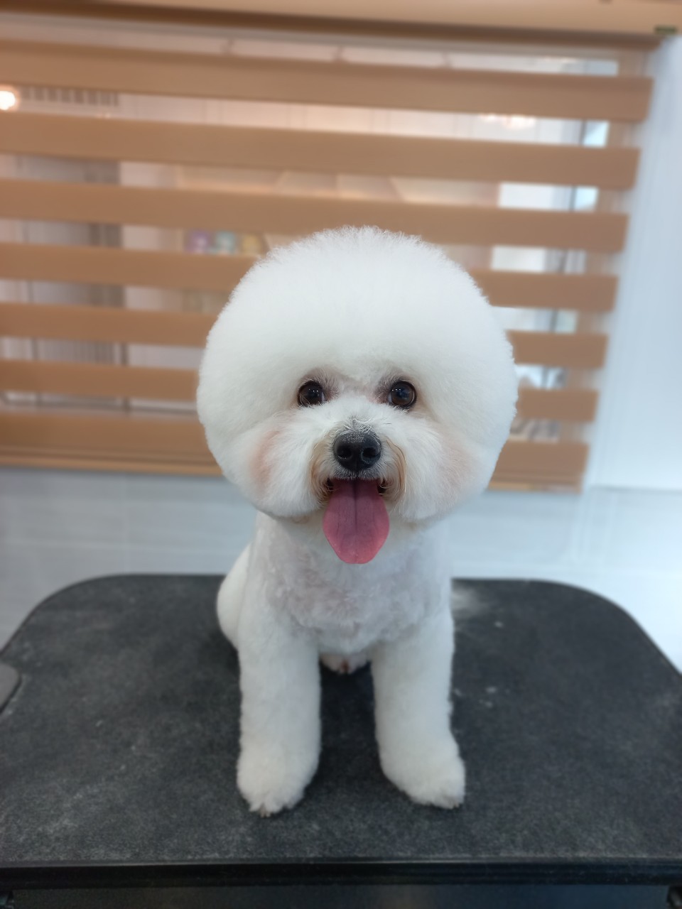 주변 가볼만한 곳