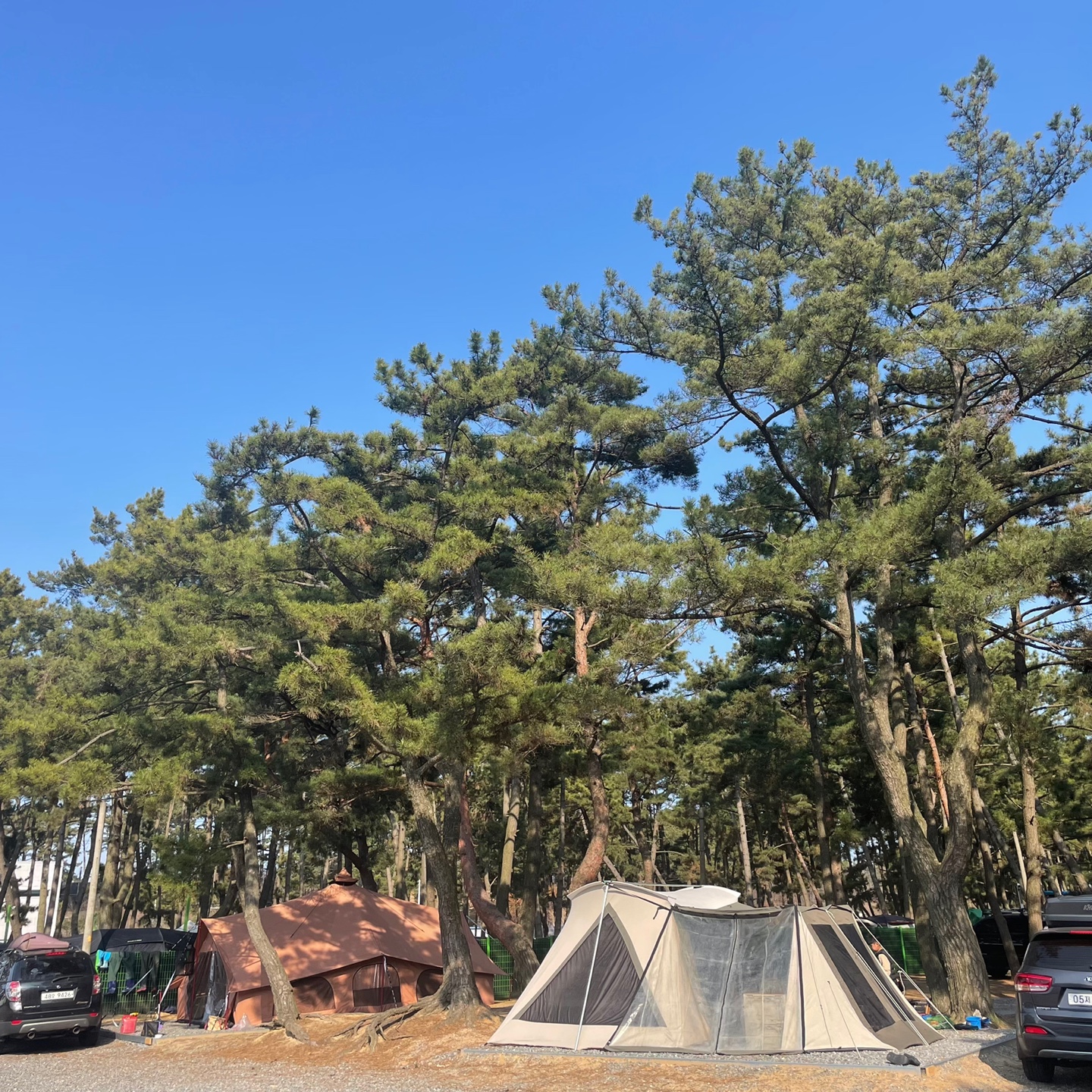 몽산포감성캠핑장