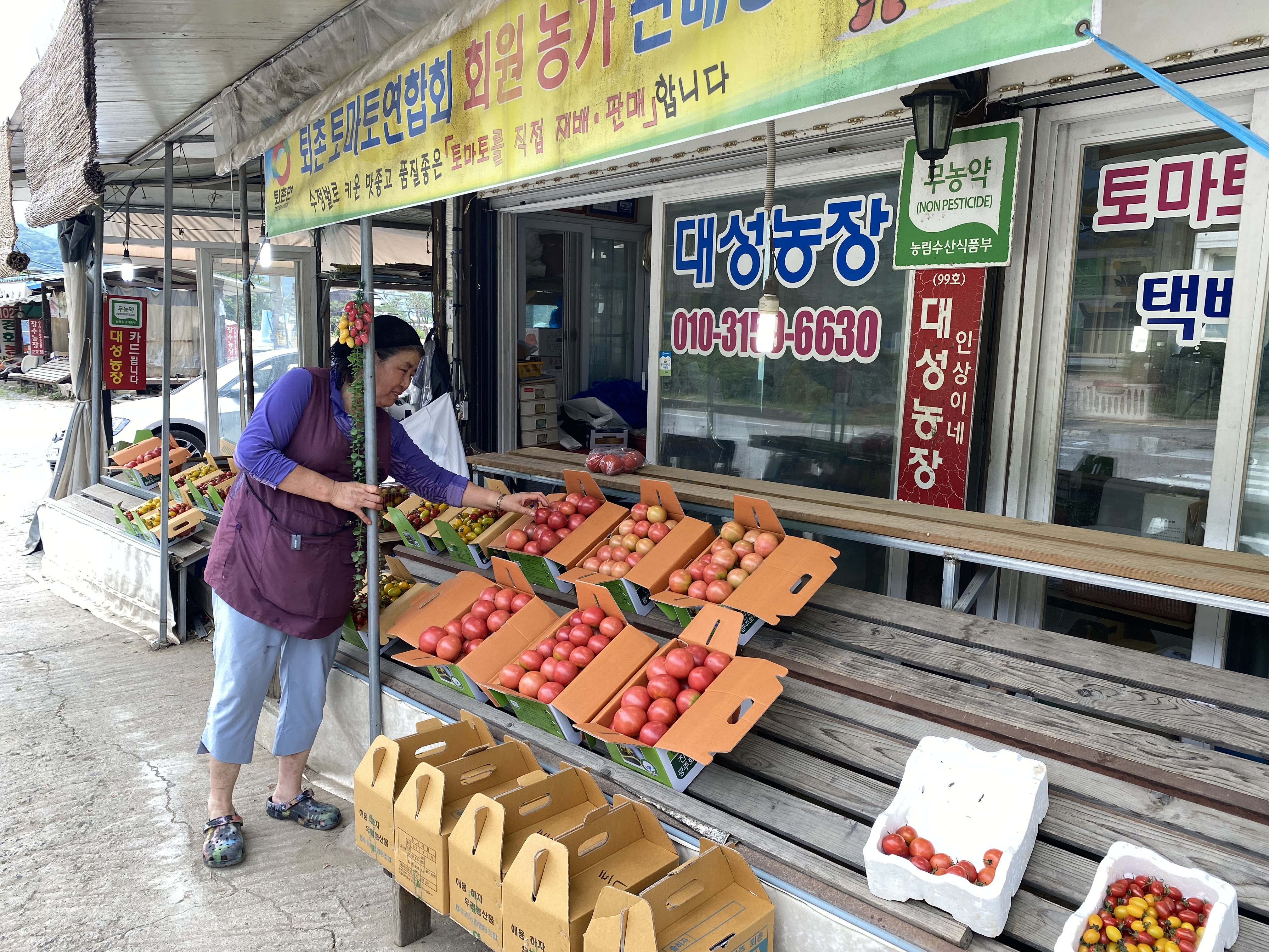 대성농장