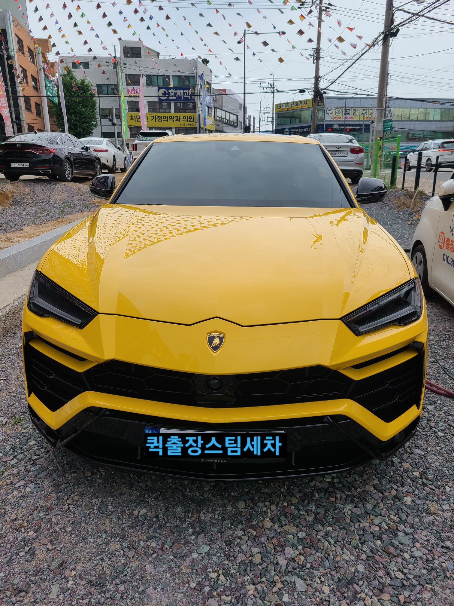 퀵 출장 스팀세차