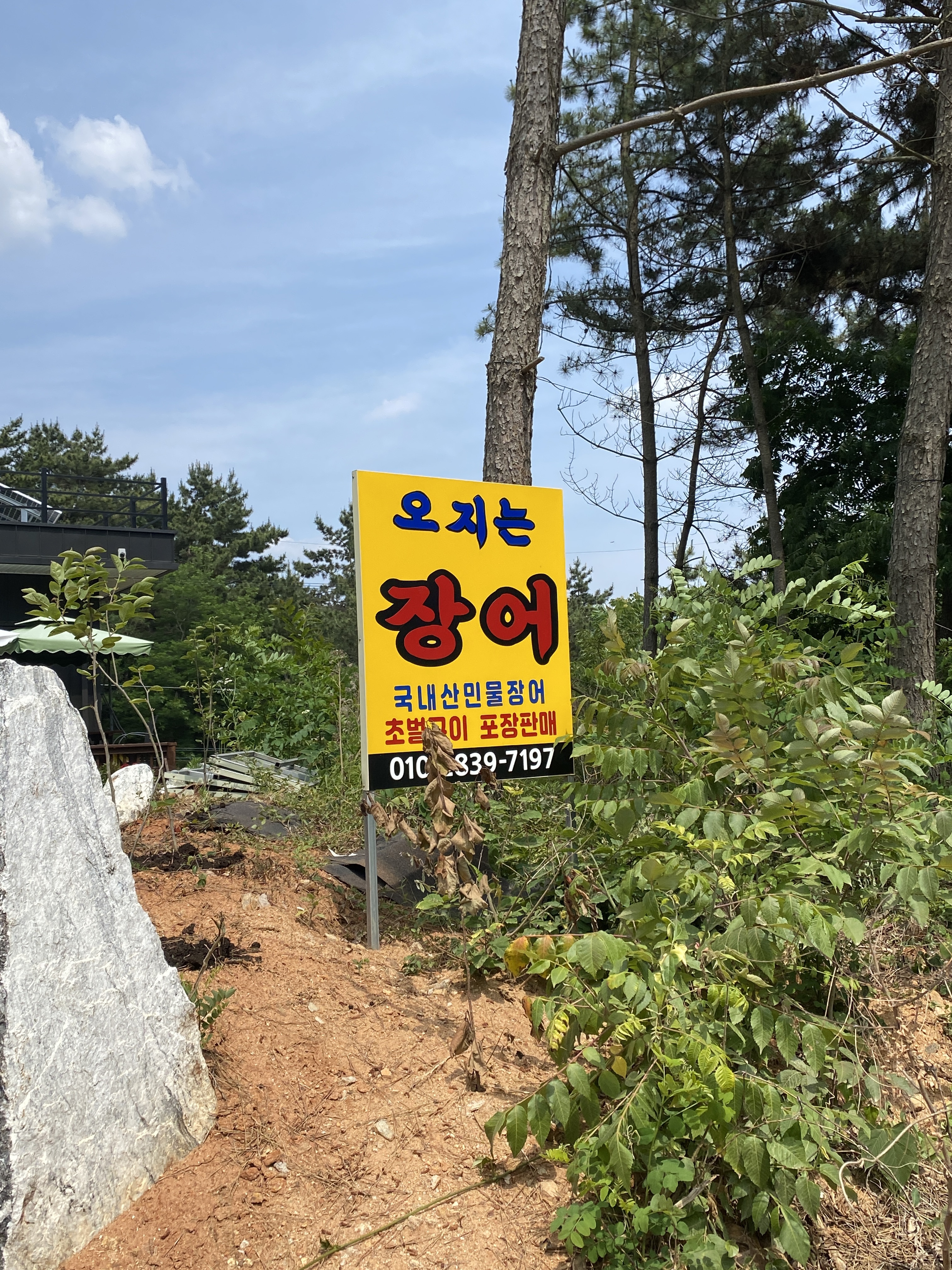 오지는장어