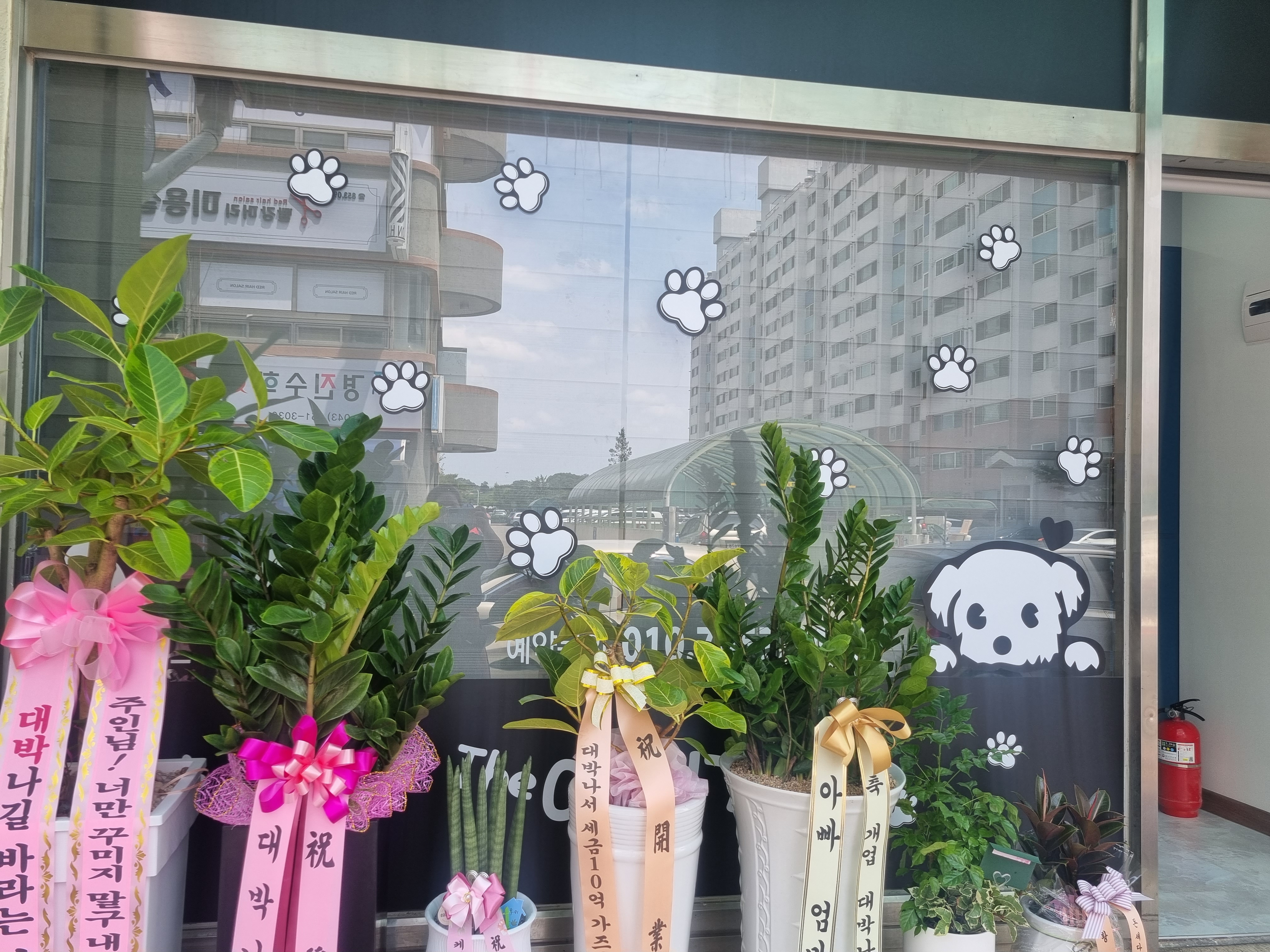 더 예쁘개 대표 이미지
