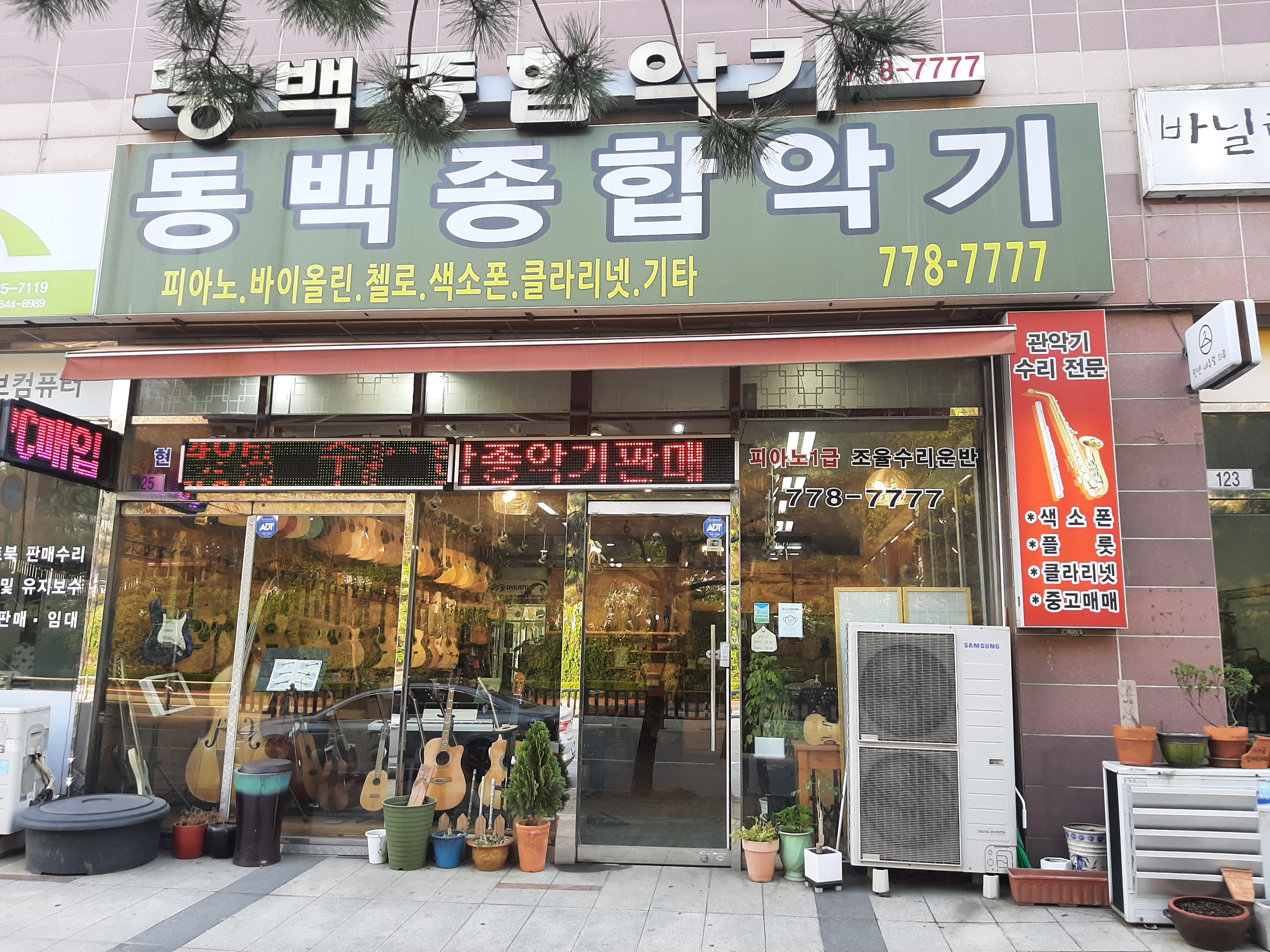 동백종합악기