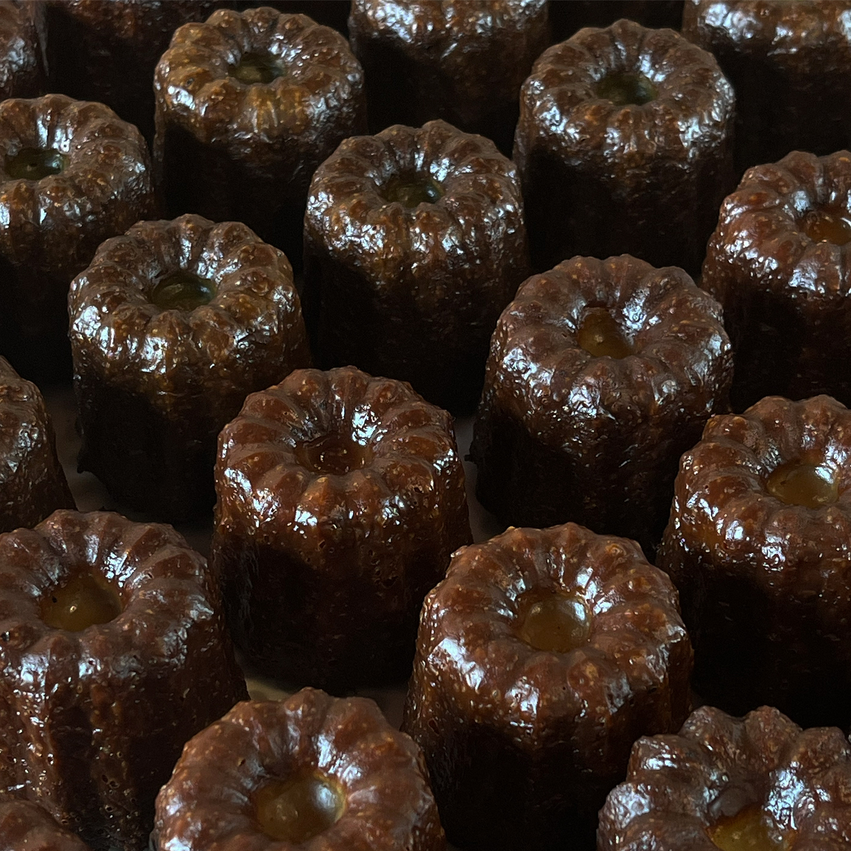 모뉴에트 제주 애견맛집