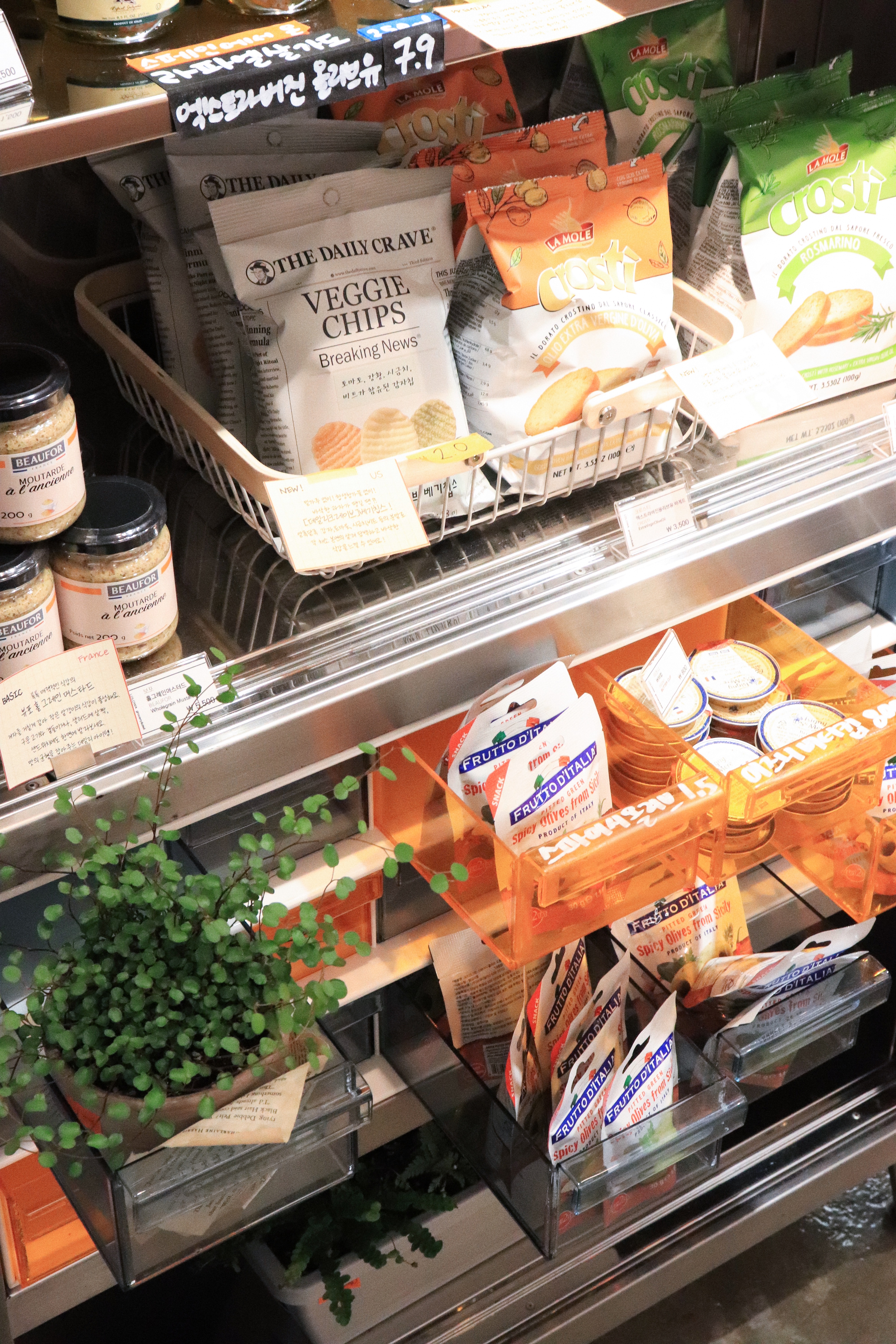 롤로와영도 대표 이미지