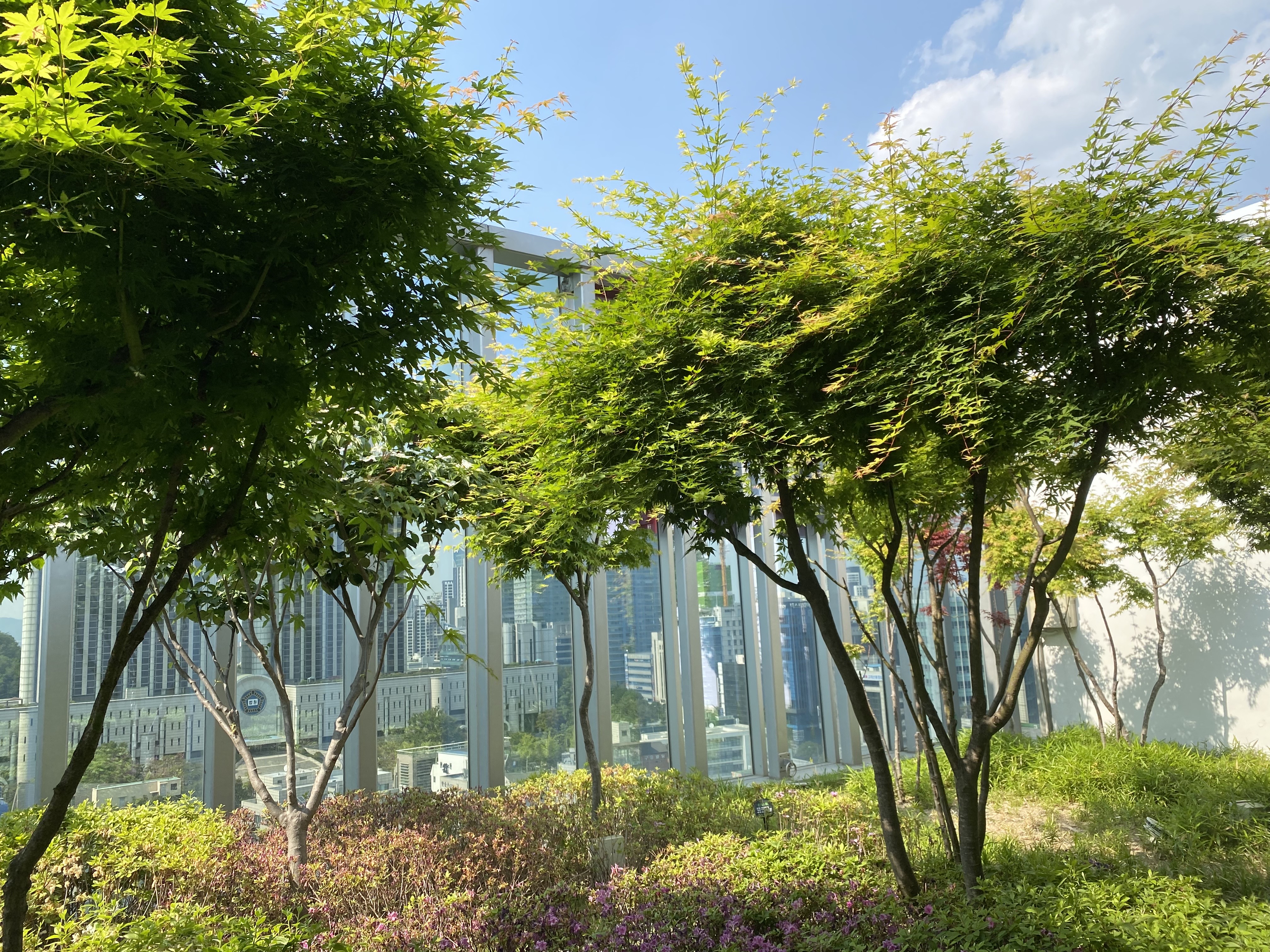 법무법인 제이앤케이 대표 이미지