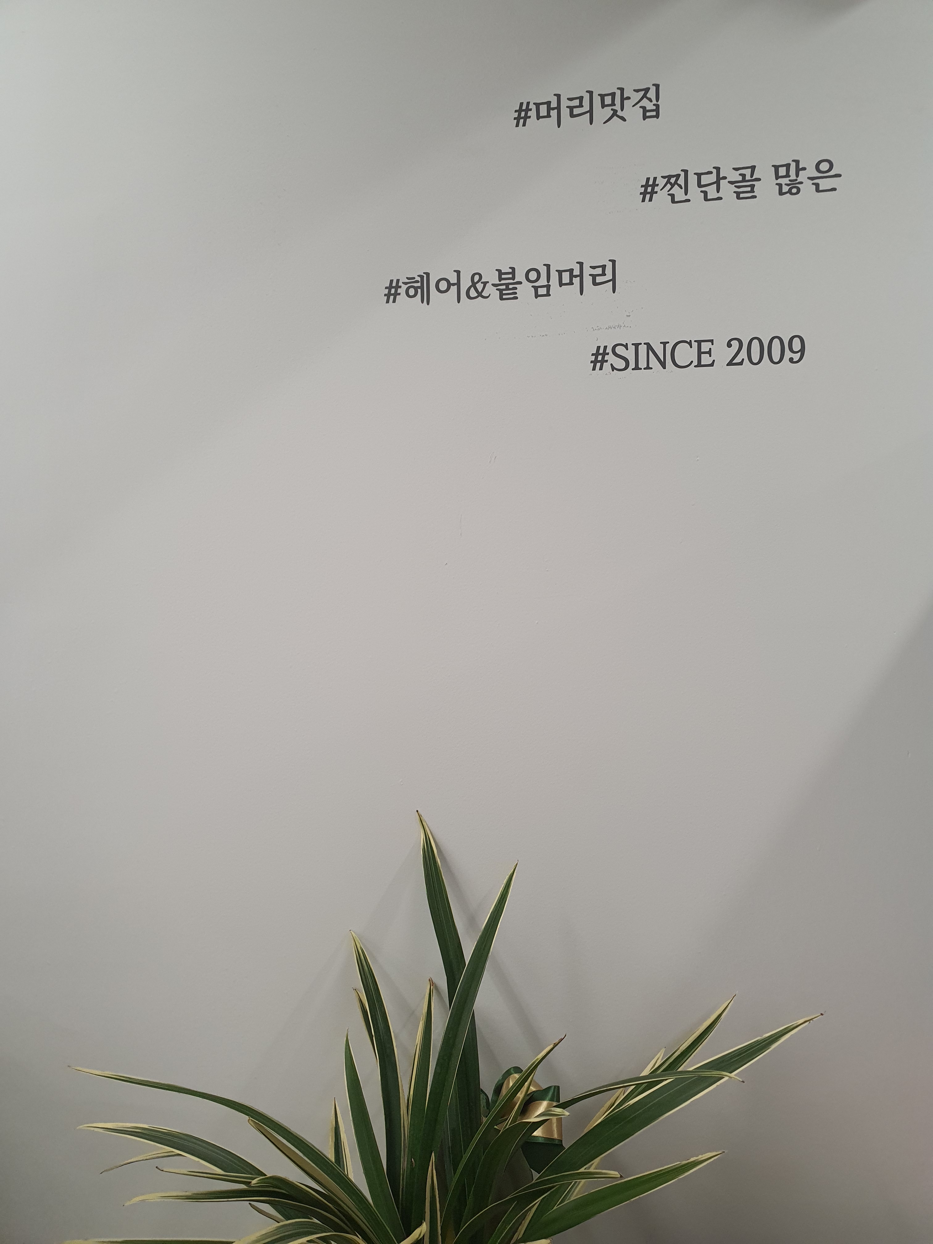 벨리아르가 헤어 & 붙임머리