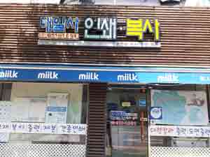 대일사