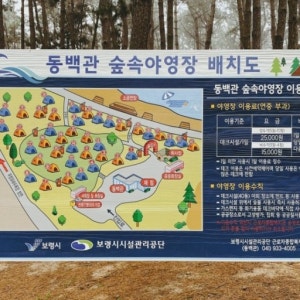 용두해수욕장 숲속야영장