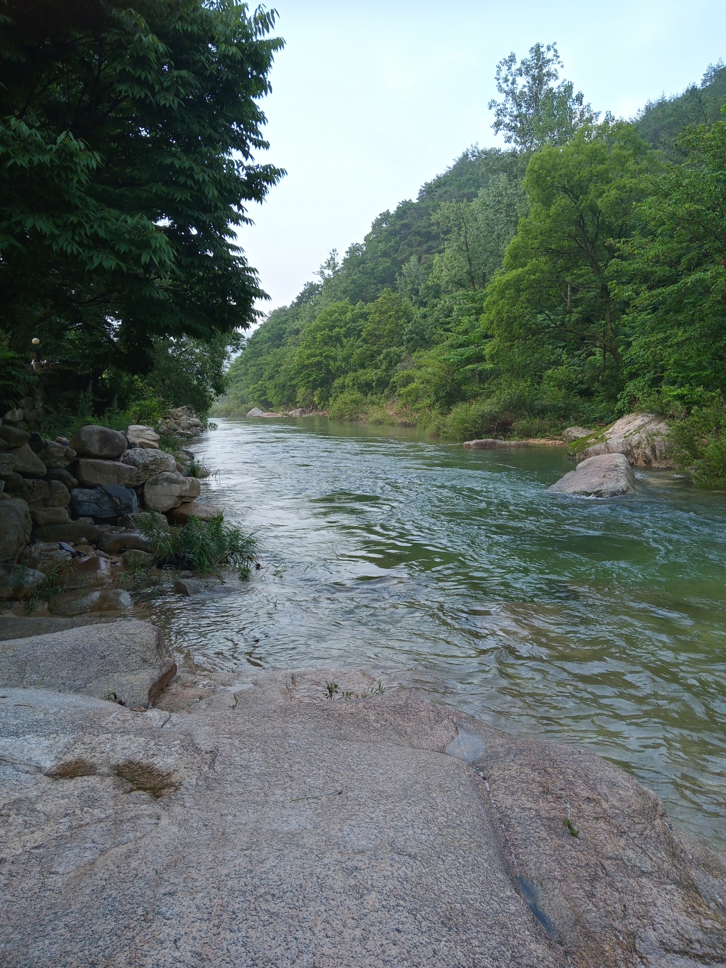 모래실농원