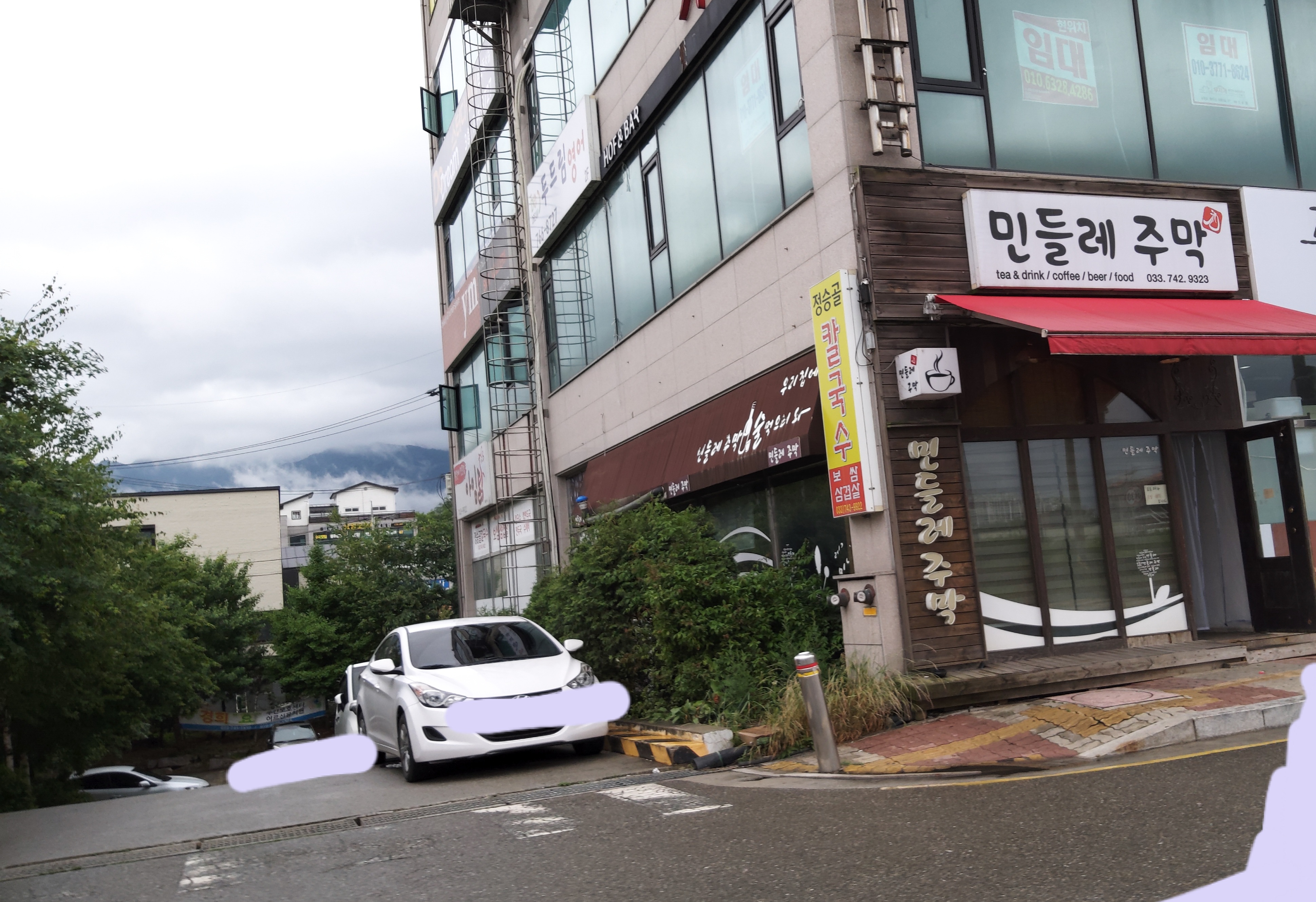 민들레주막