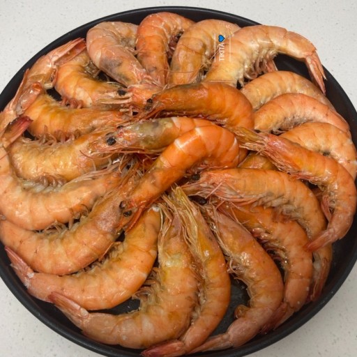 통통민물장어