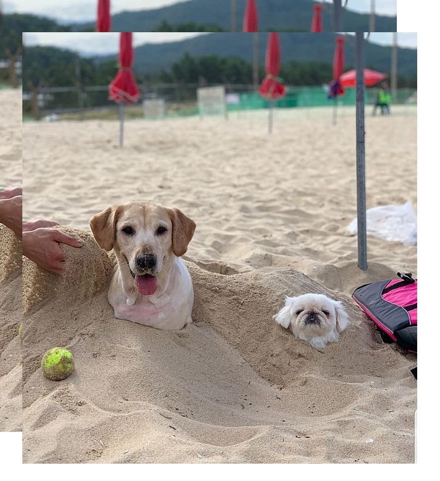 멍비치